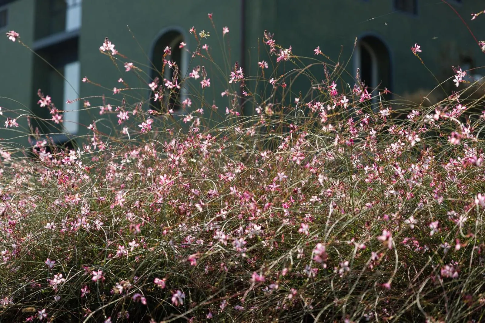 Garden in Locanda La Raia