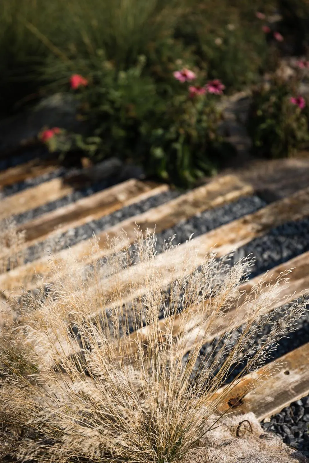 Garden in Locanda La Raia