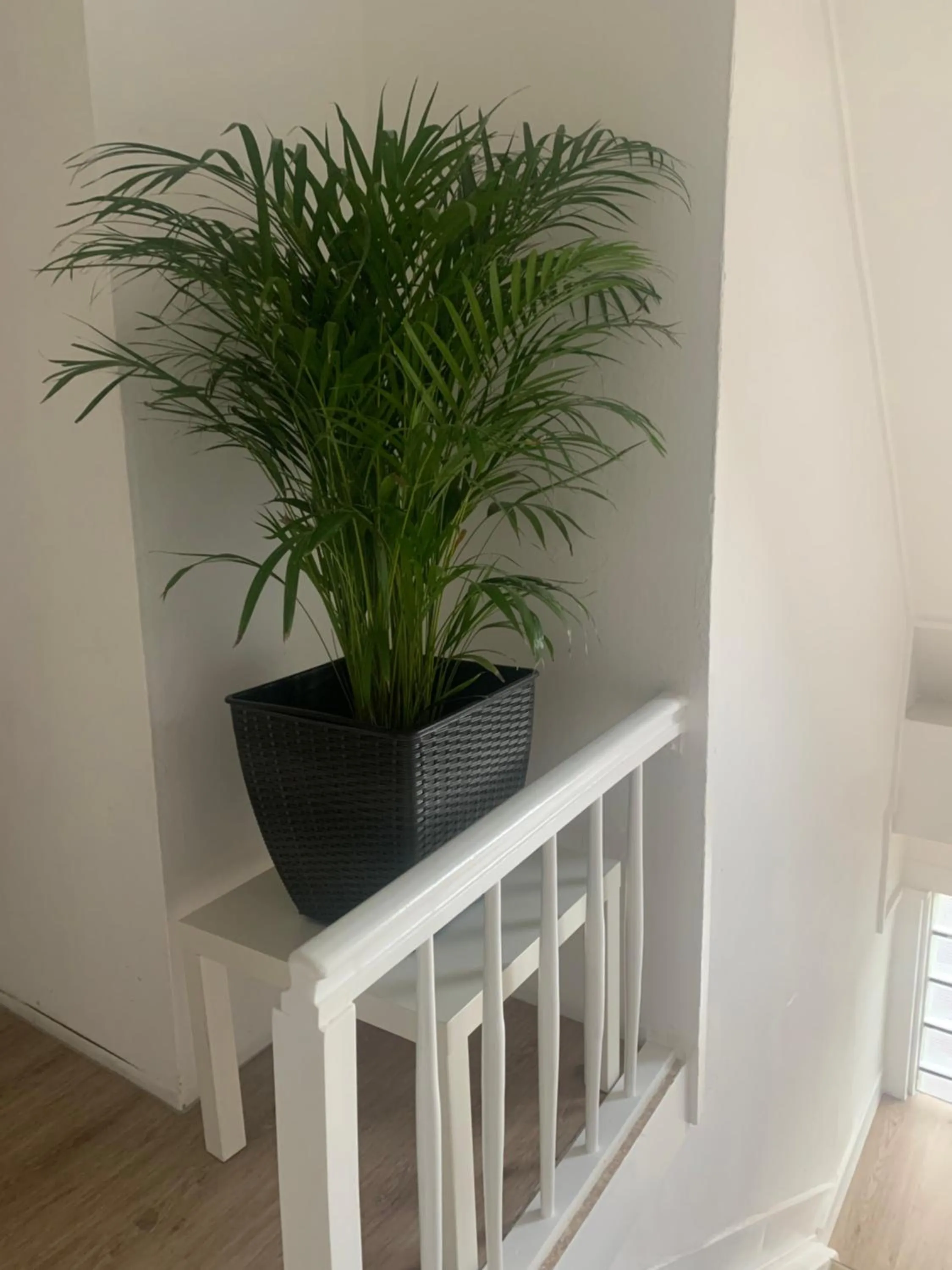 Property building in Hotel & Hostel Albstadt