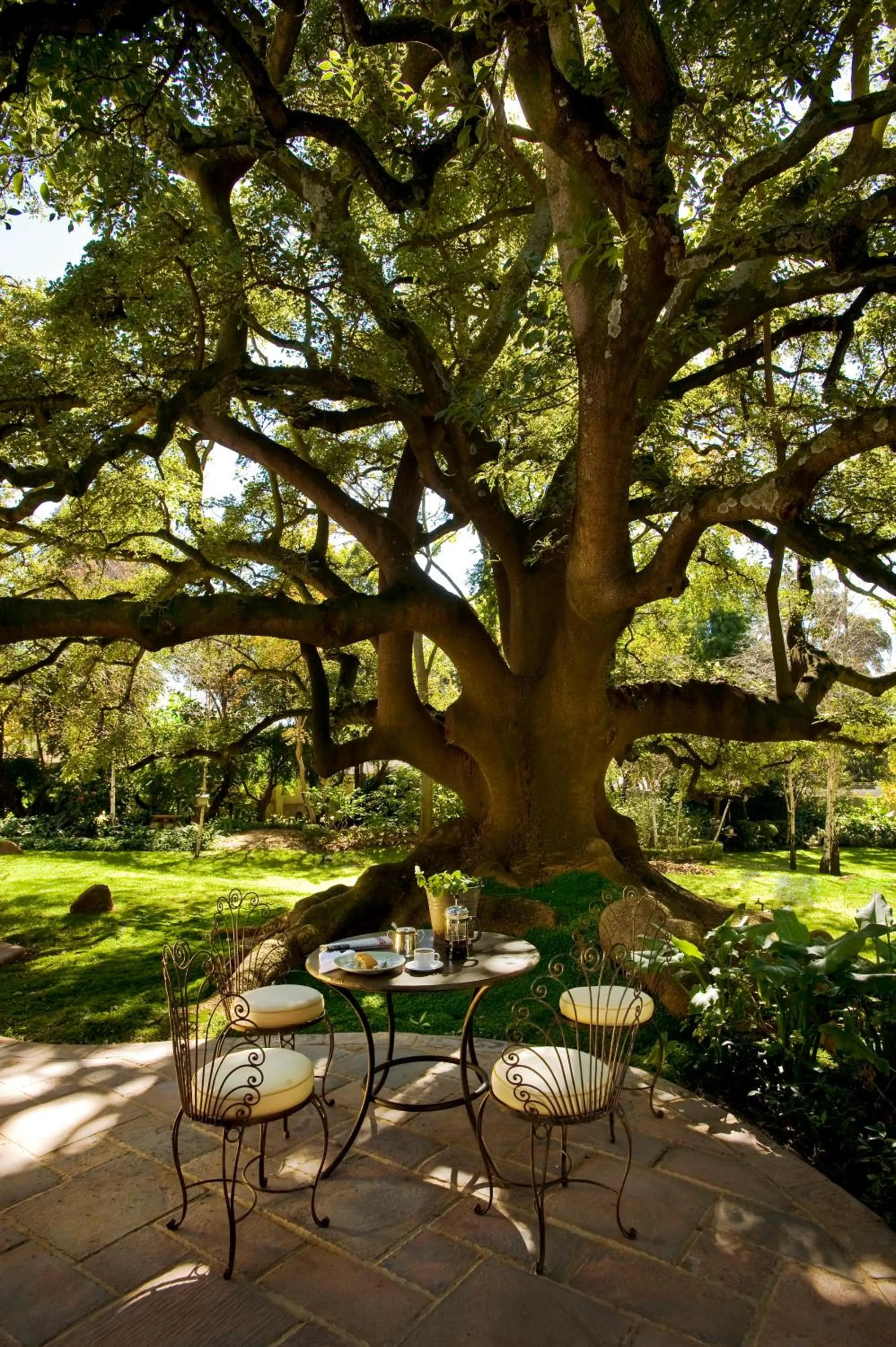 Patio in Hoeveld House