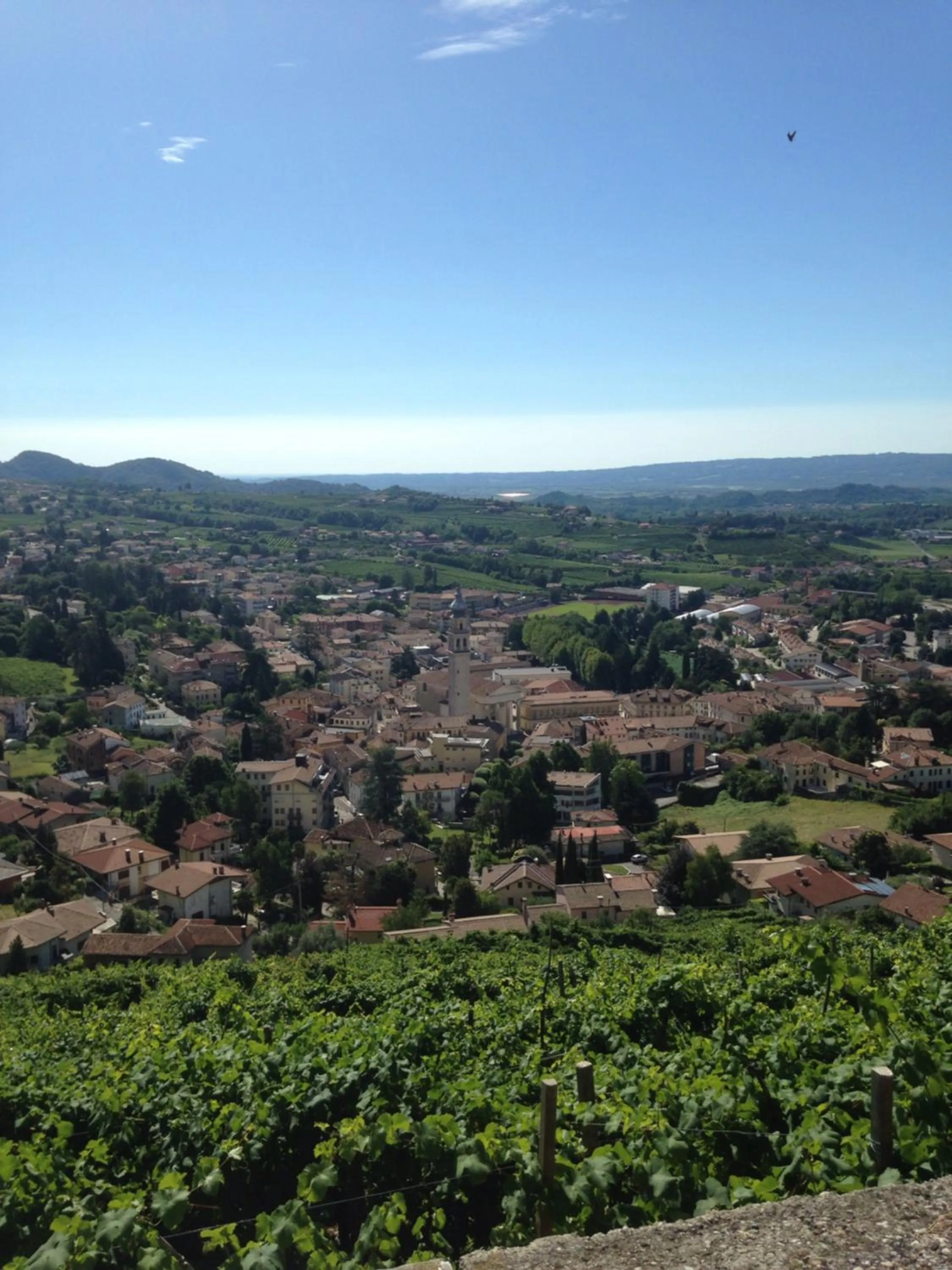 B&B Zanin di Zanin Mauro