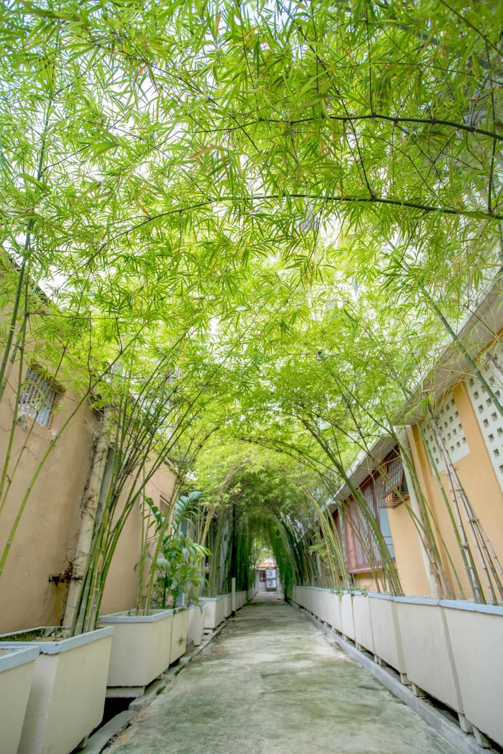 Natural landscape in Areca Hotel Penang