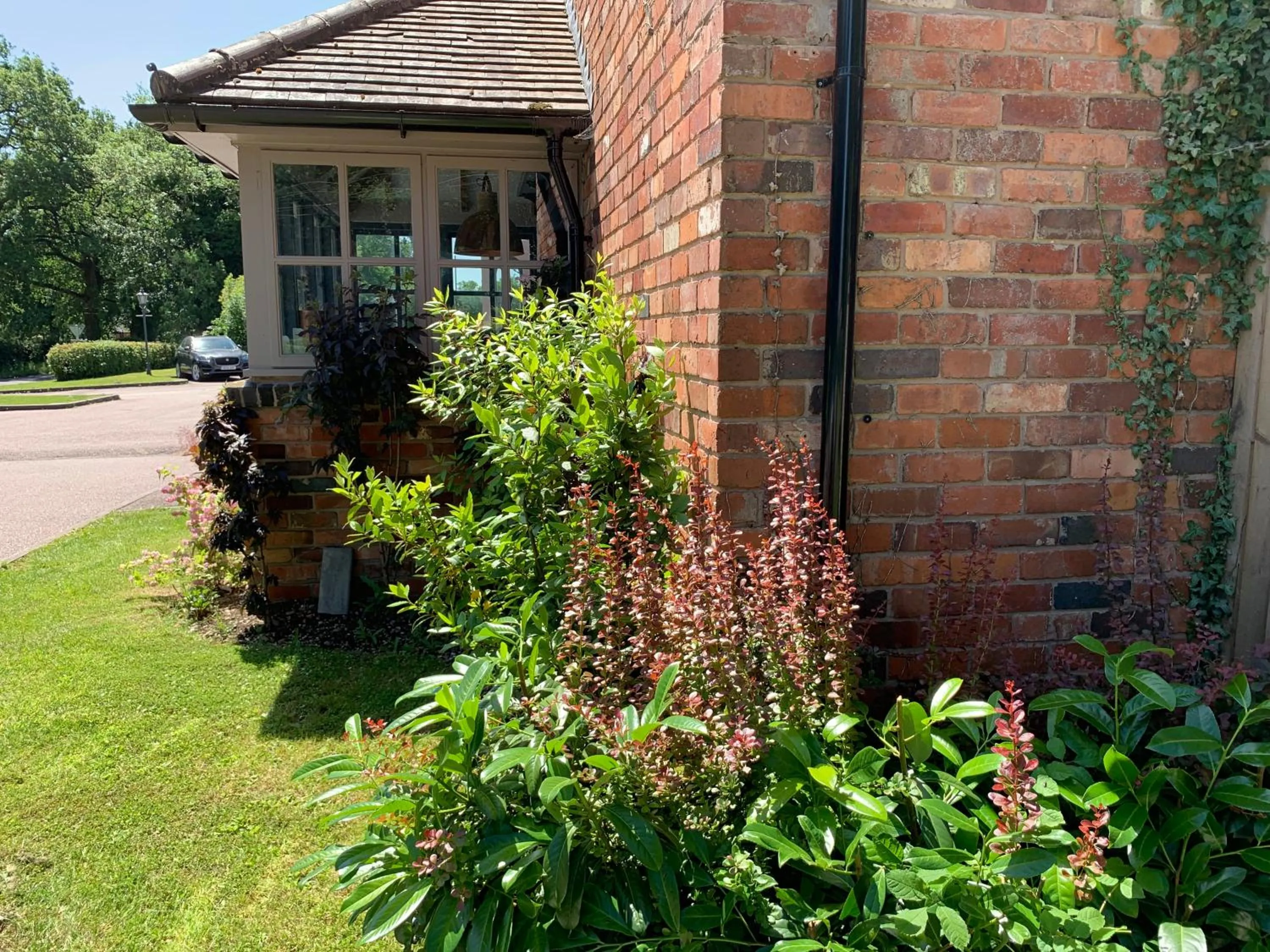 The Punchbowl Lapworth