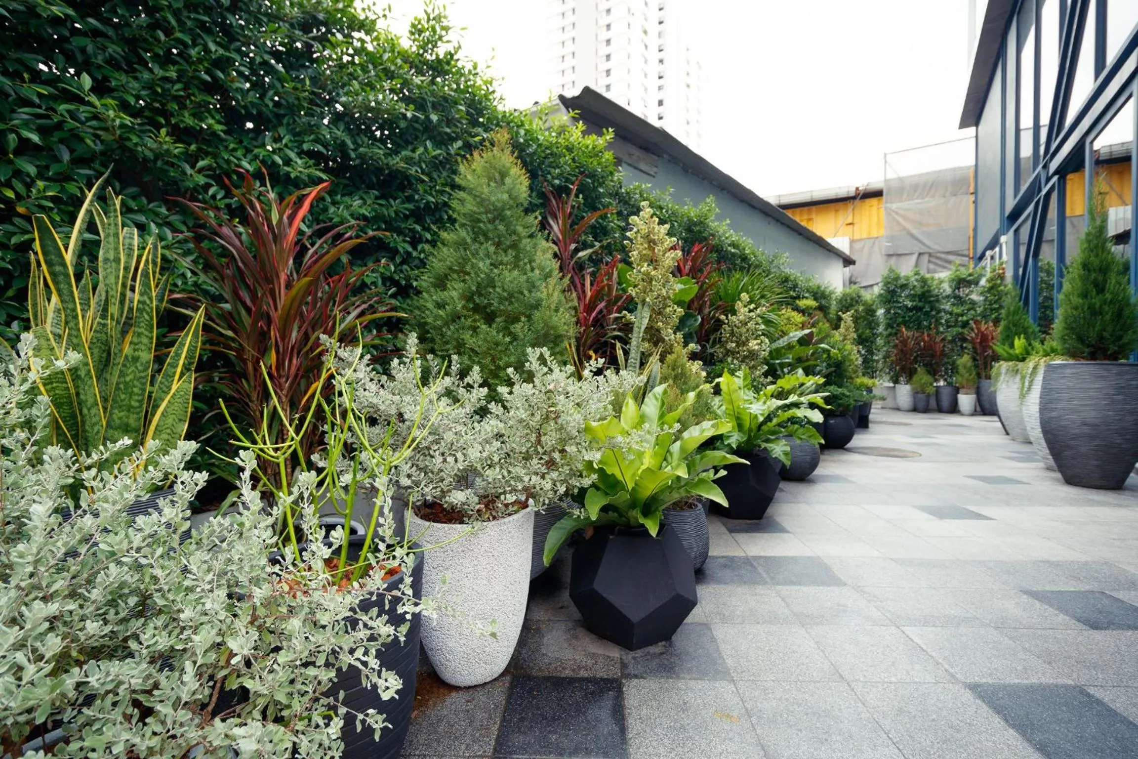 Garden in Klub Hotel Bangkok