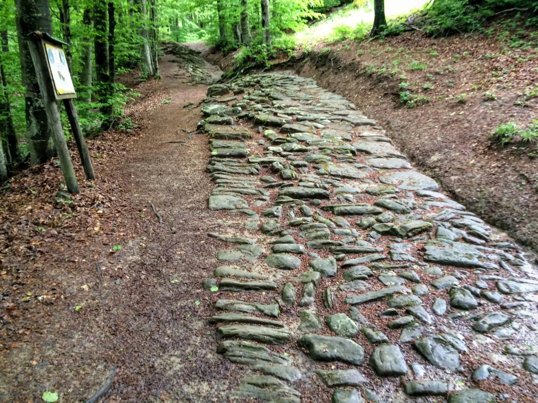 Albergo Ristorante Poli