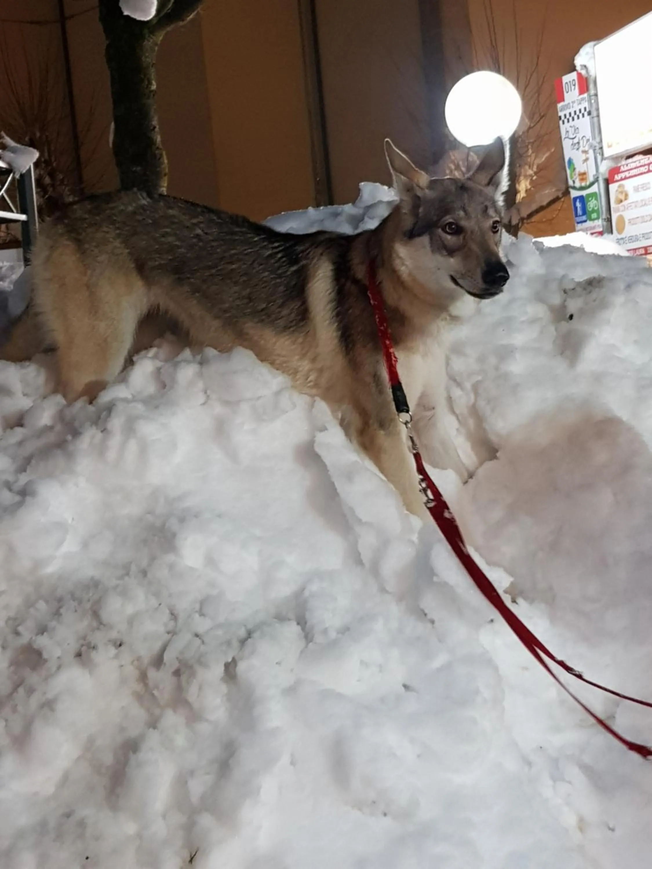Albergo Ristorante Poli