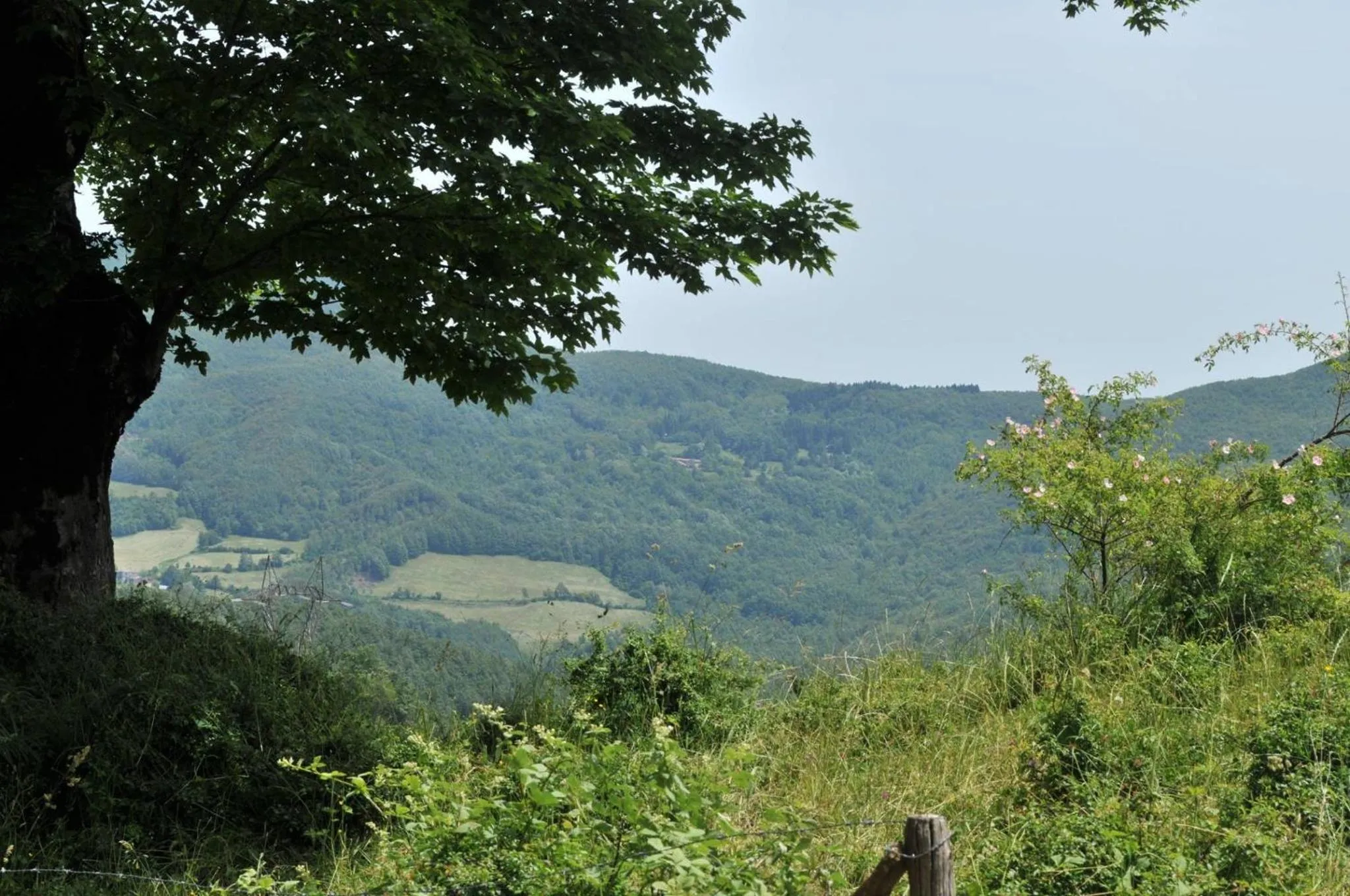 Albergo Ristorante Poli