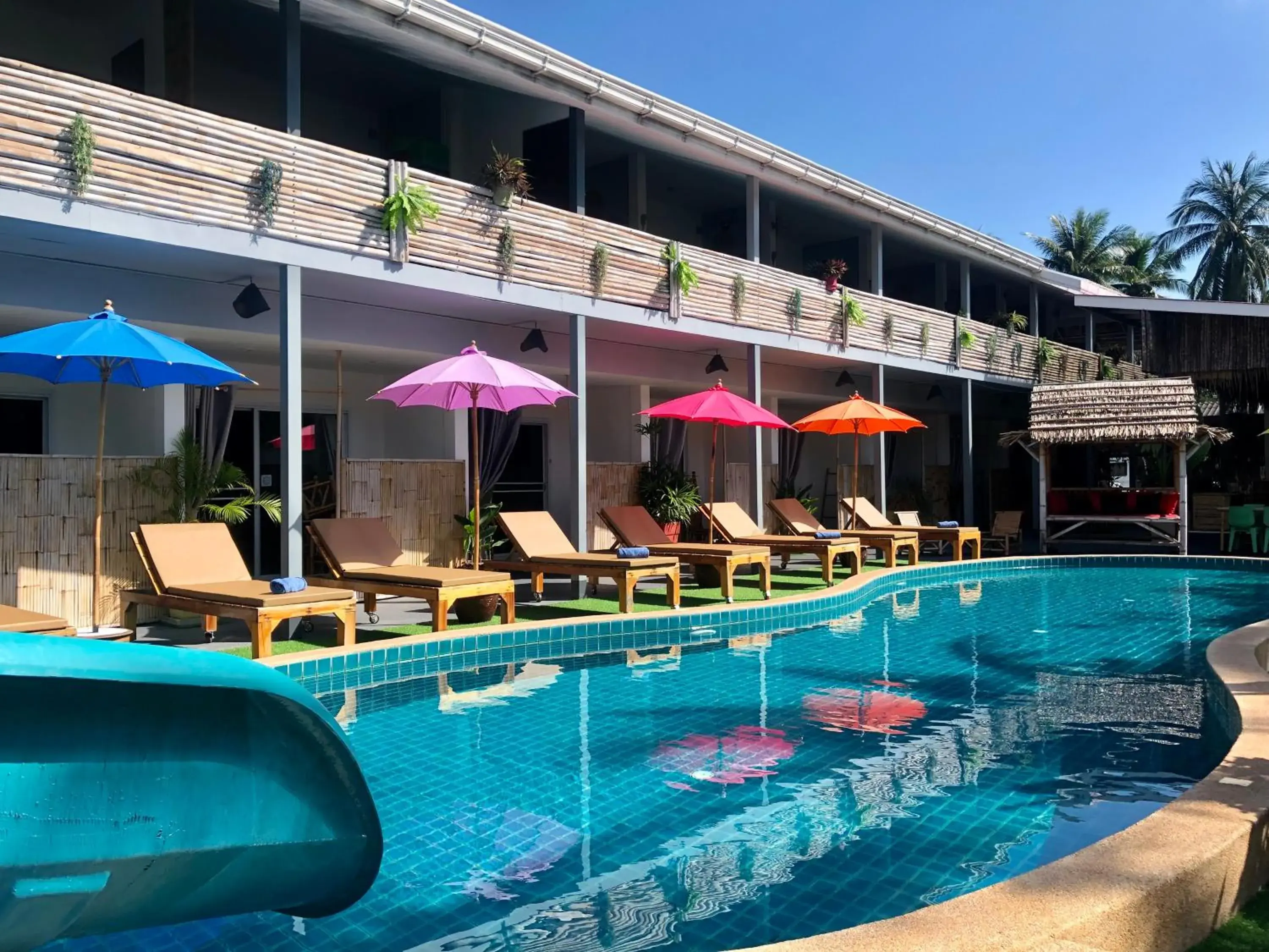 Samui Zenity Samui Zenity