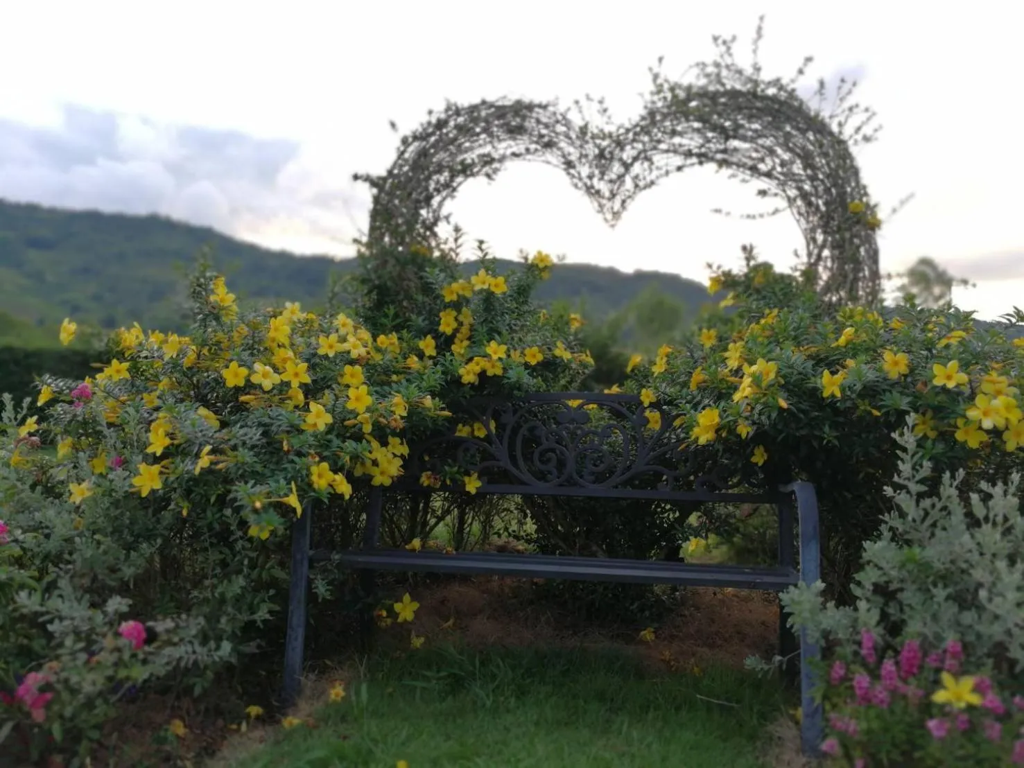 Misty English Cottage