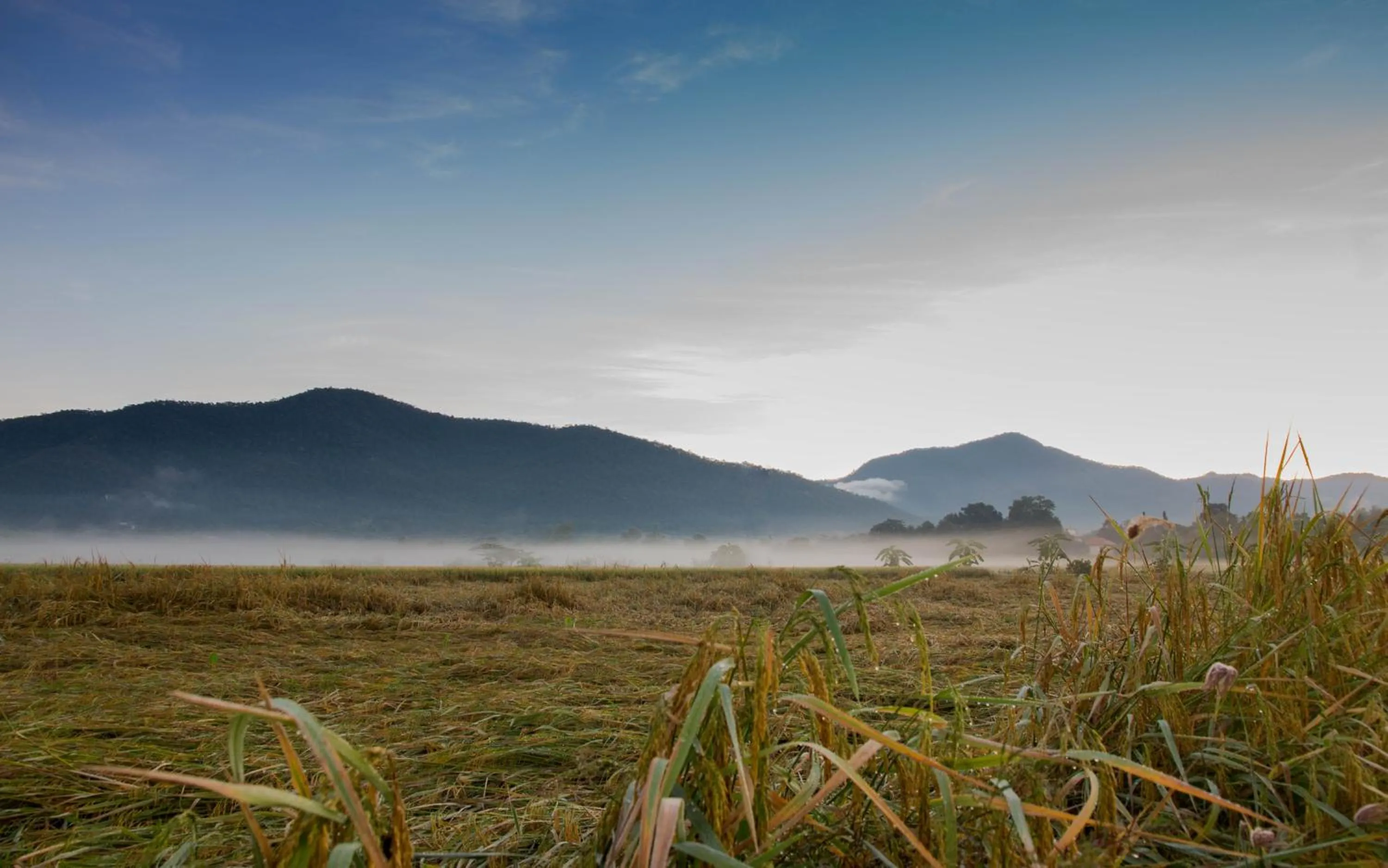 Natural landscape in Santitham Home Farm Stay