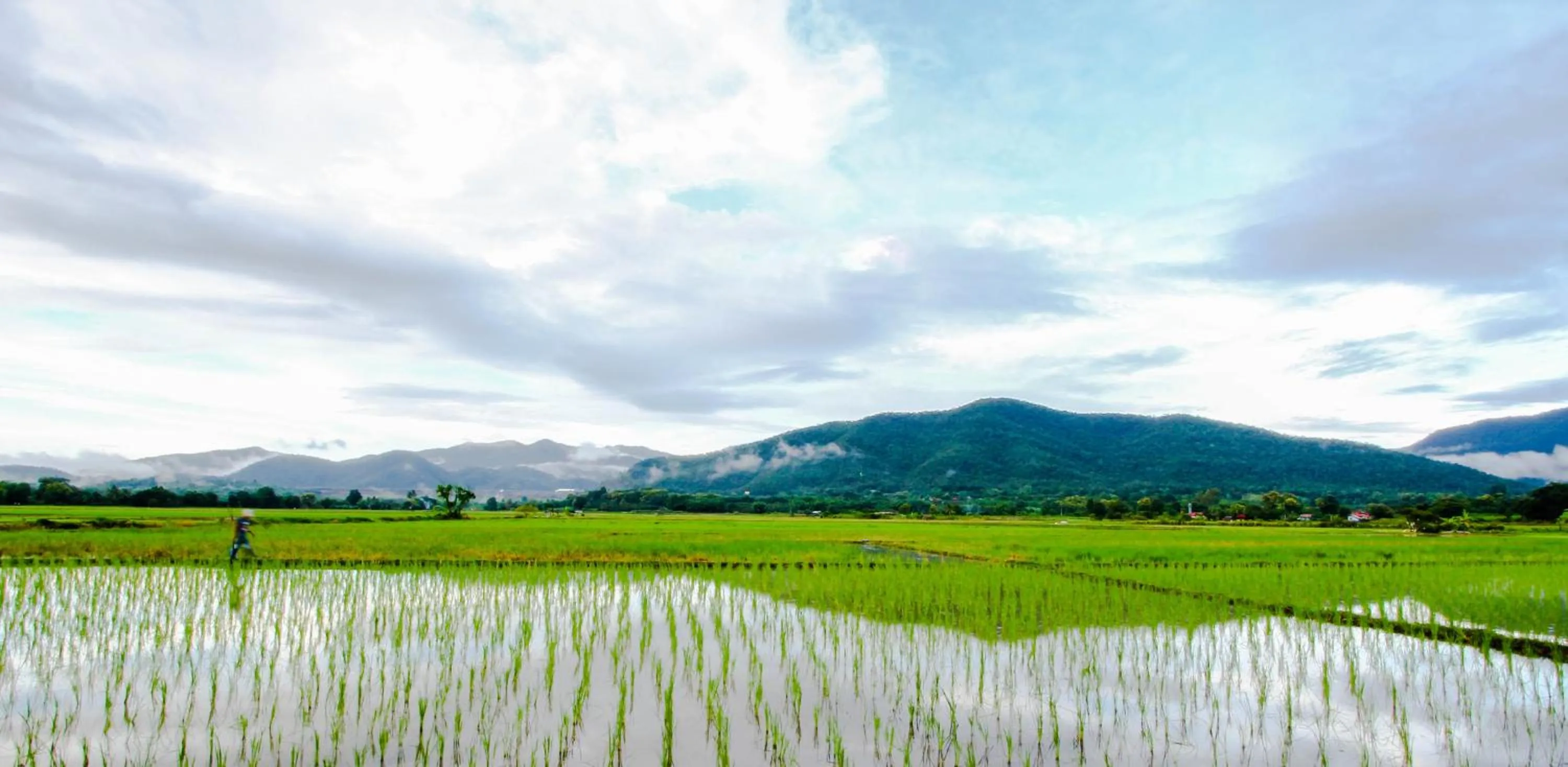 Mountain view in Santitham Home Farm Stay