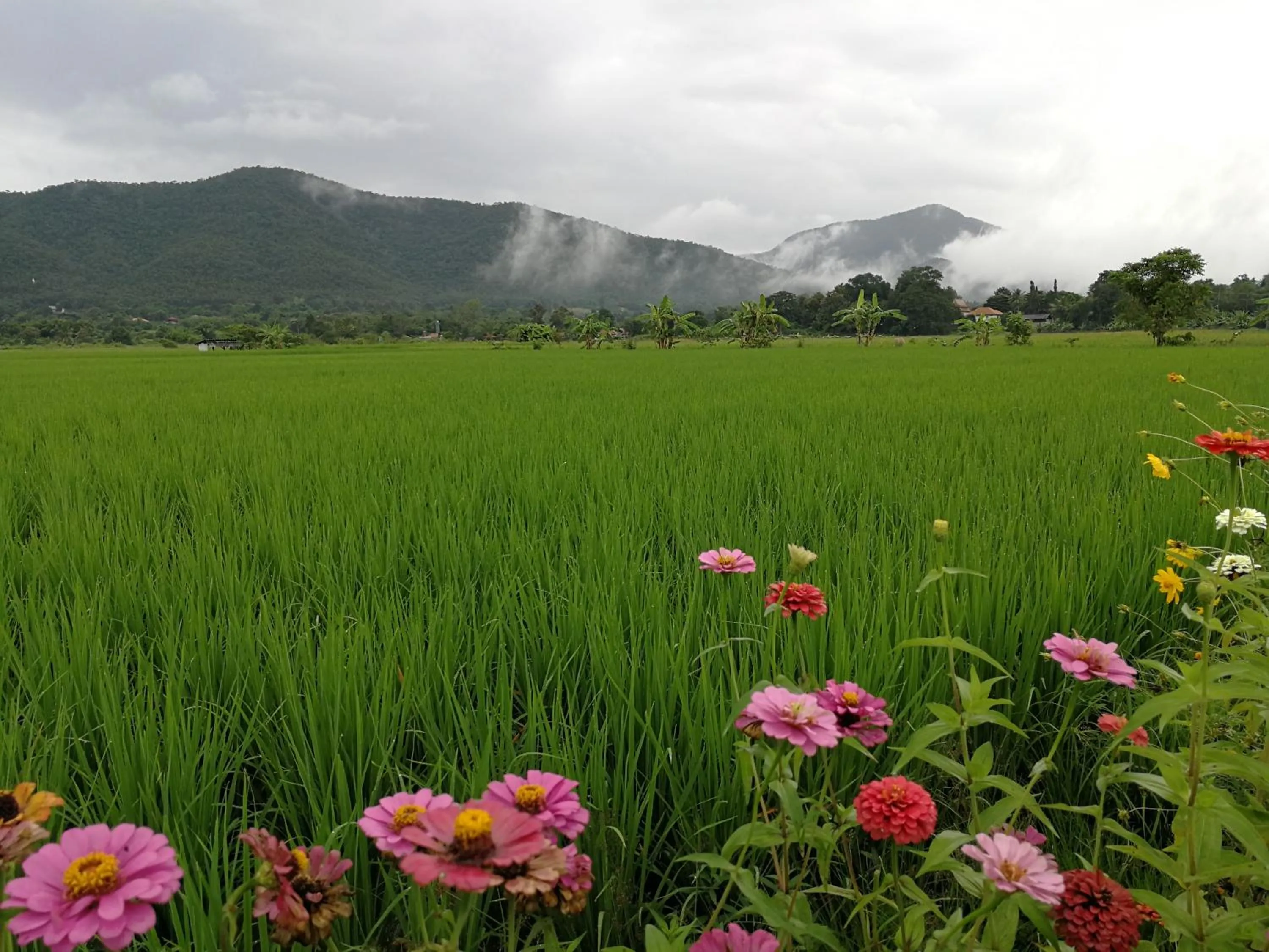 Santitham Home Farm Stay