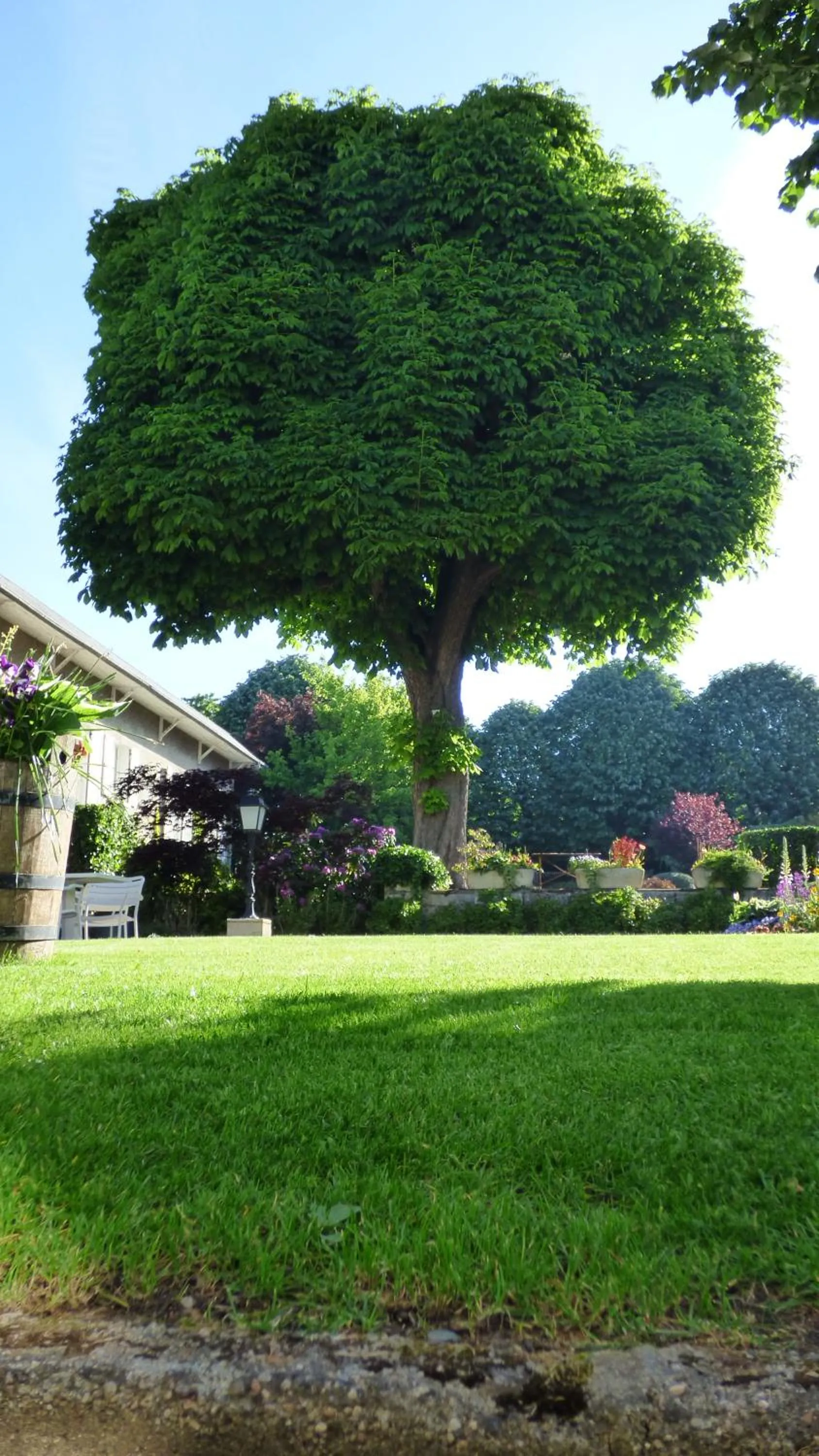 Day in Hôtel La Tonnellerie