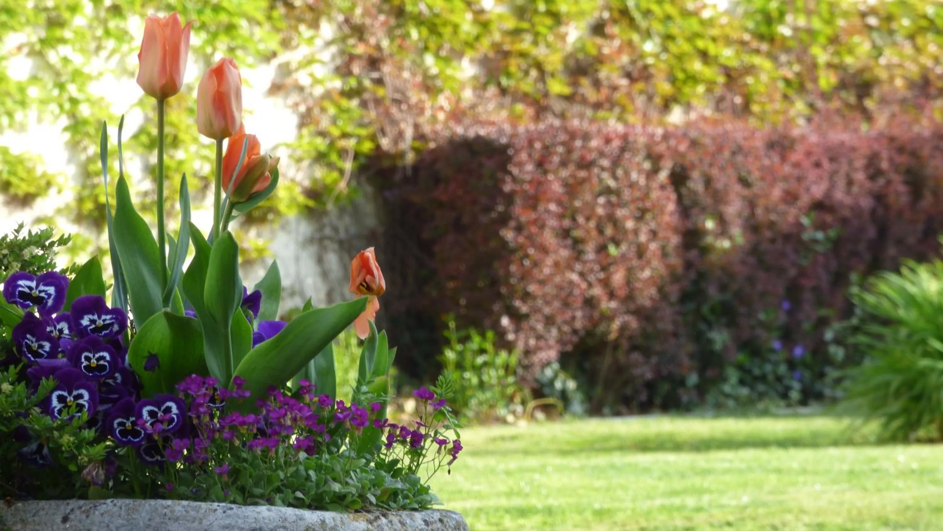 Spring in Hôtel La Tonnellerie