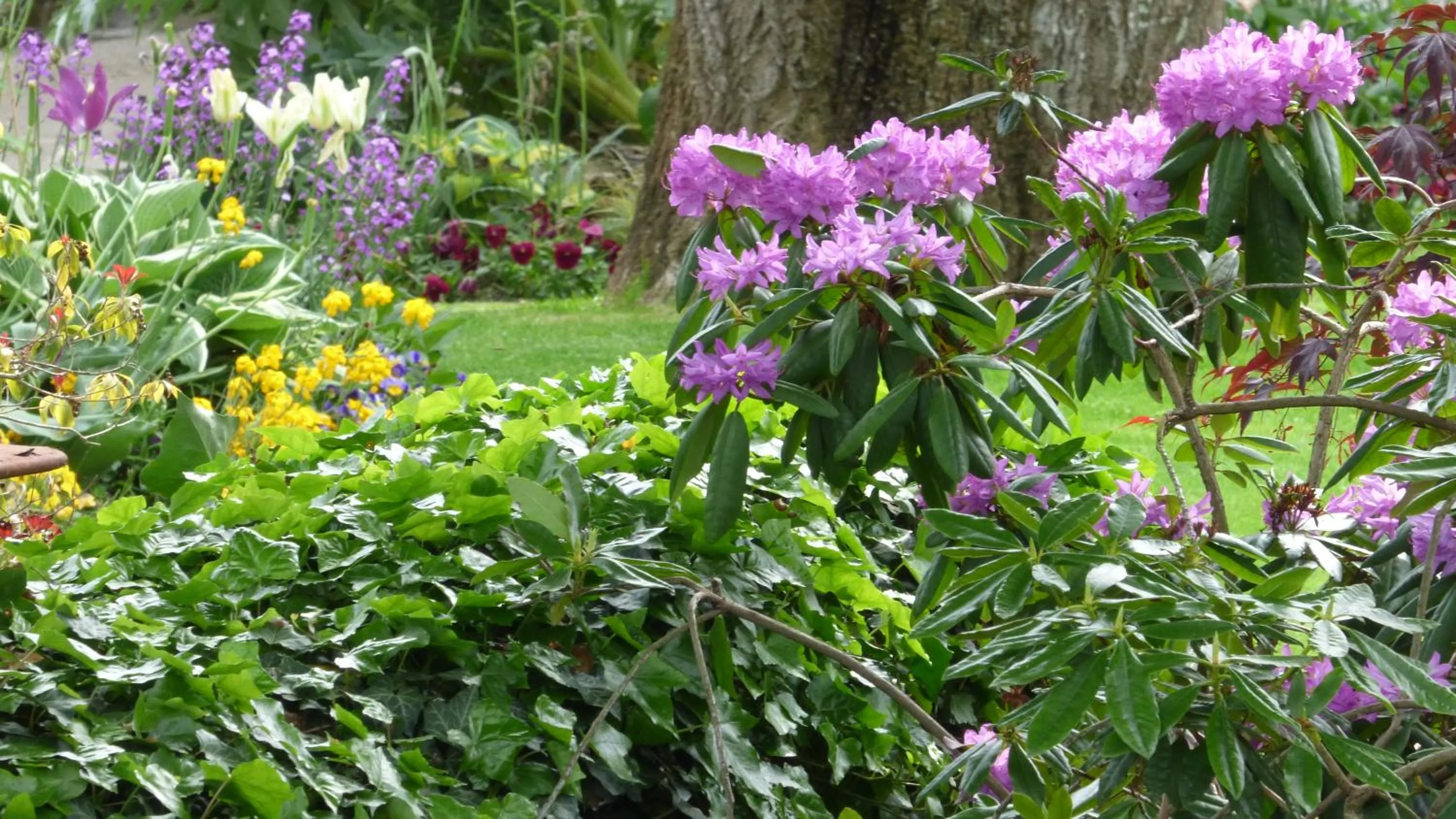 Spring in Hôtel La Tonnellerie