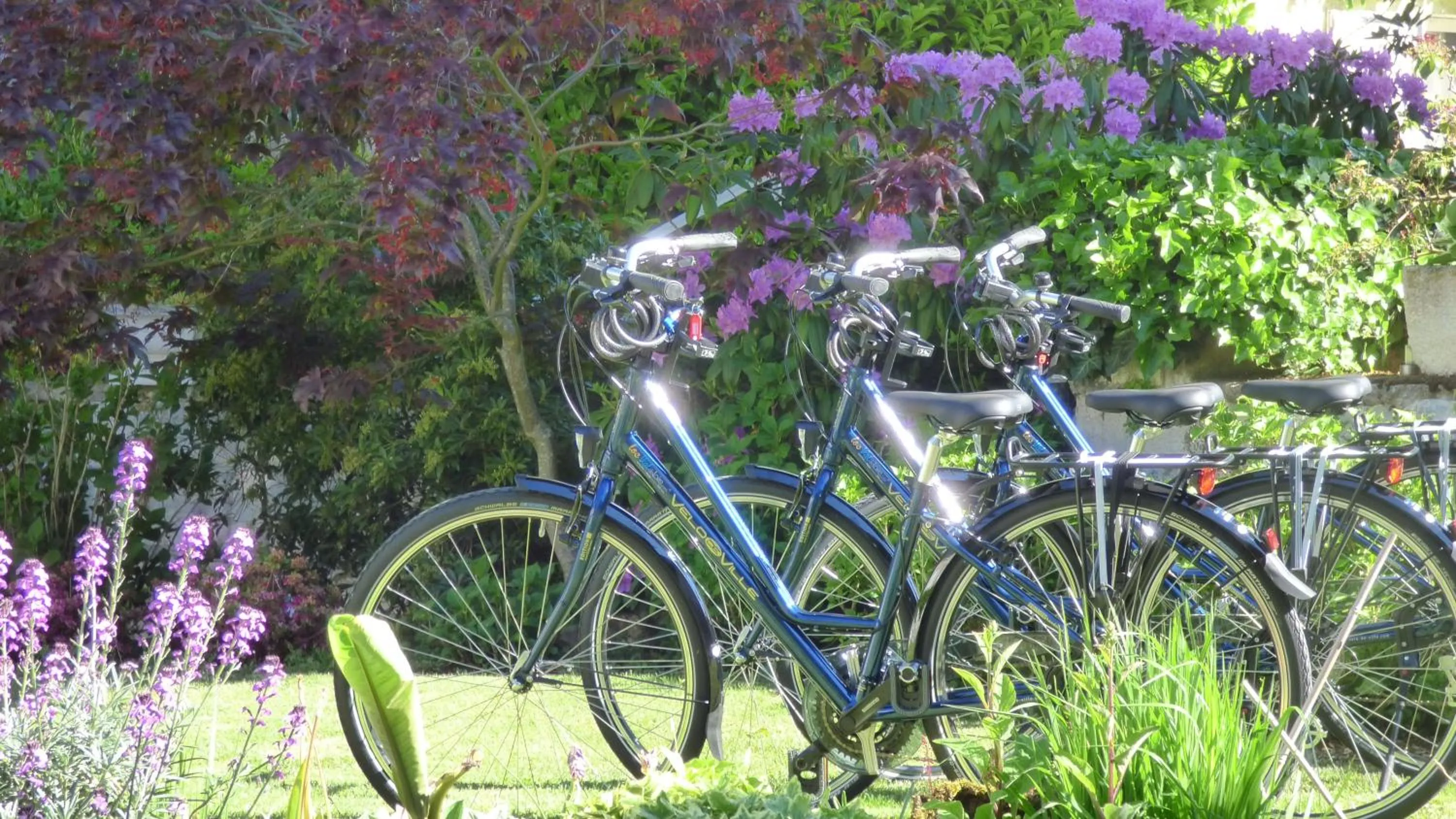 Garden in Hôtel La Tonnellerie