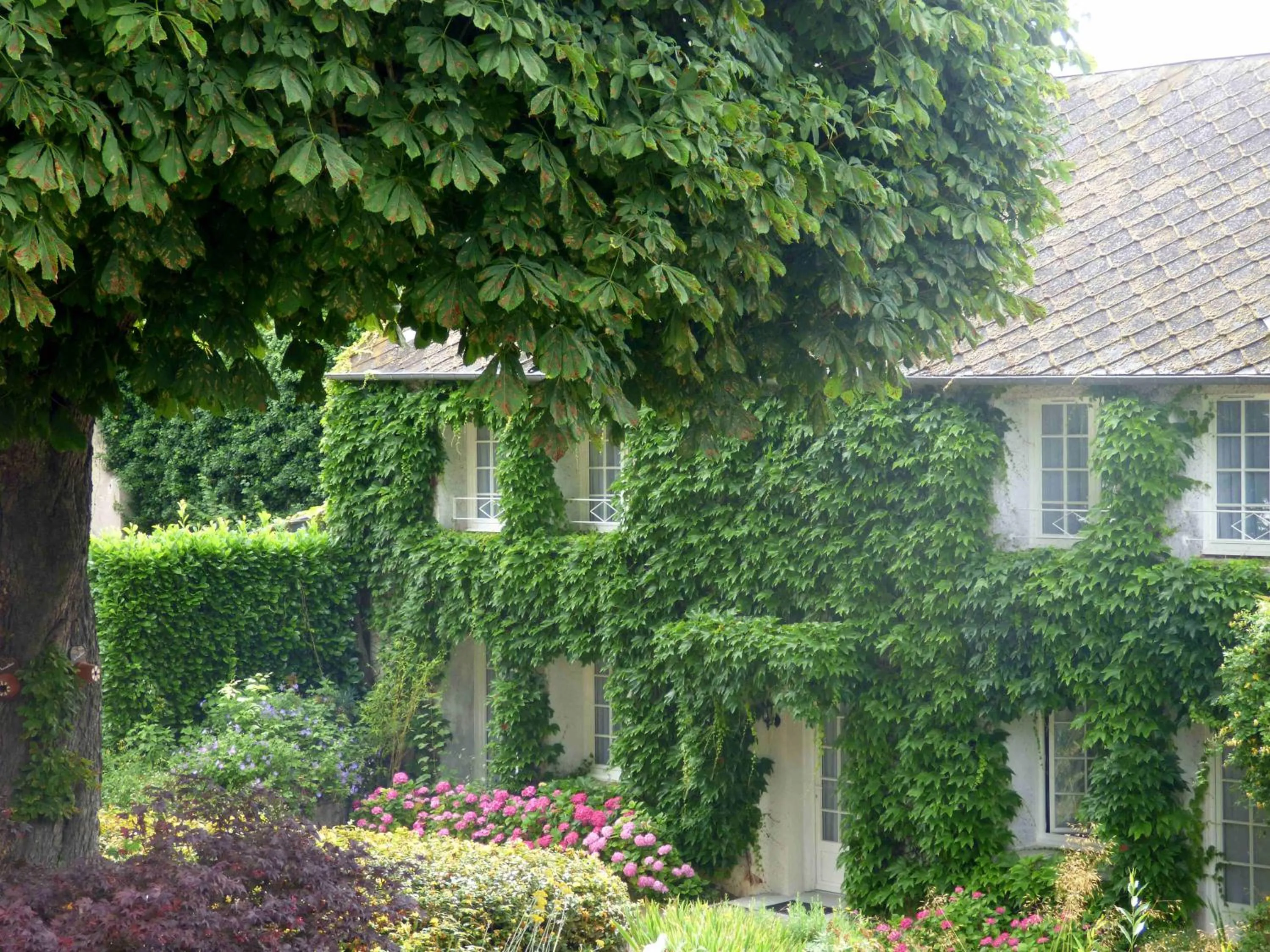 Garden in Hôtel La Tonnellerie