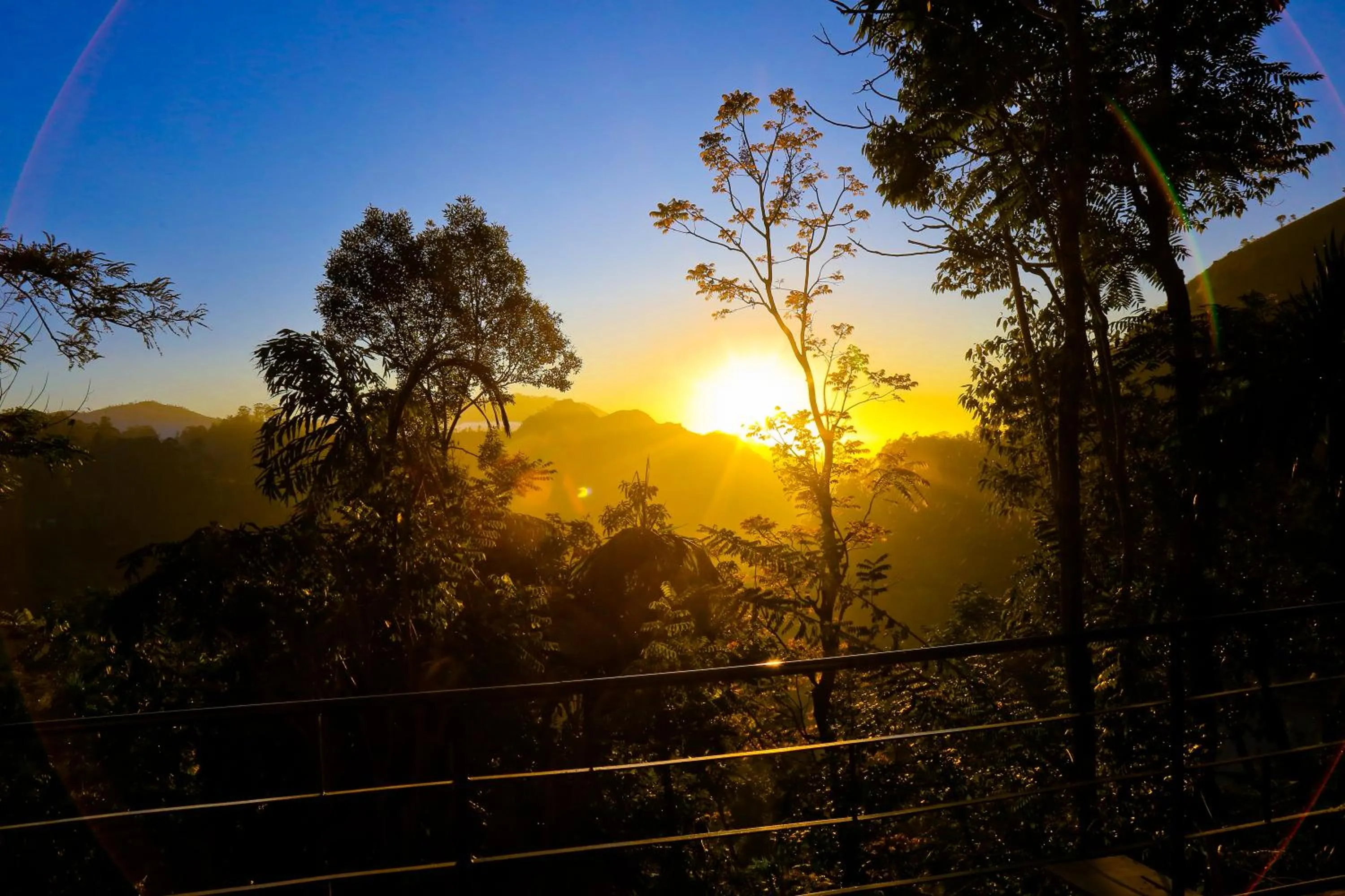 Balcony/Terrace in Ella Alpine Resort