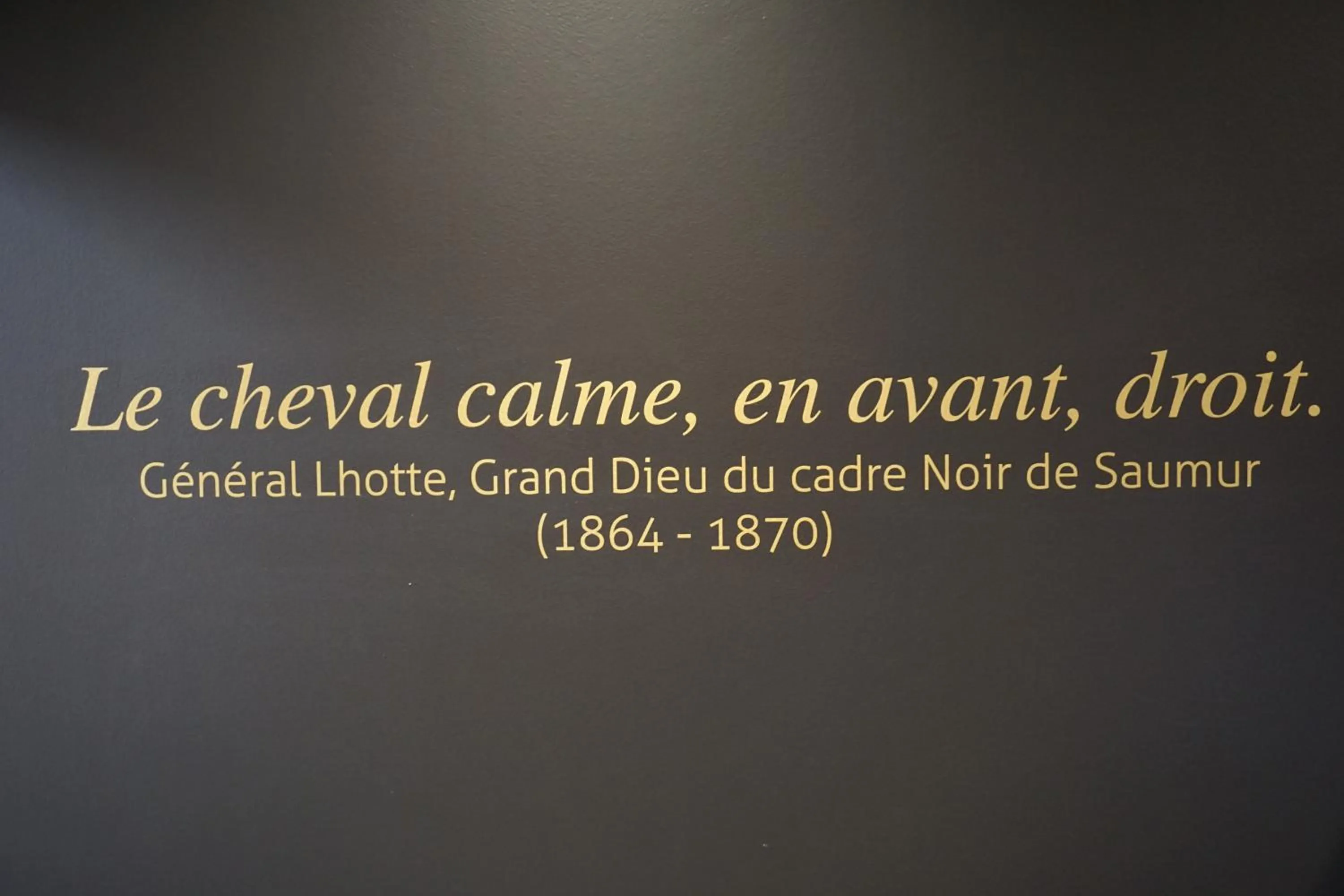 Decorative detail in Mercure Bords de Loire Saumur