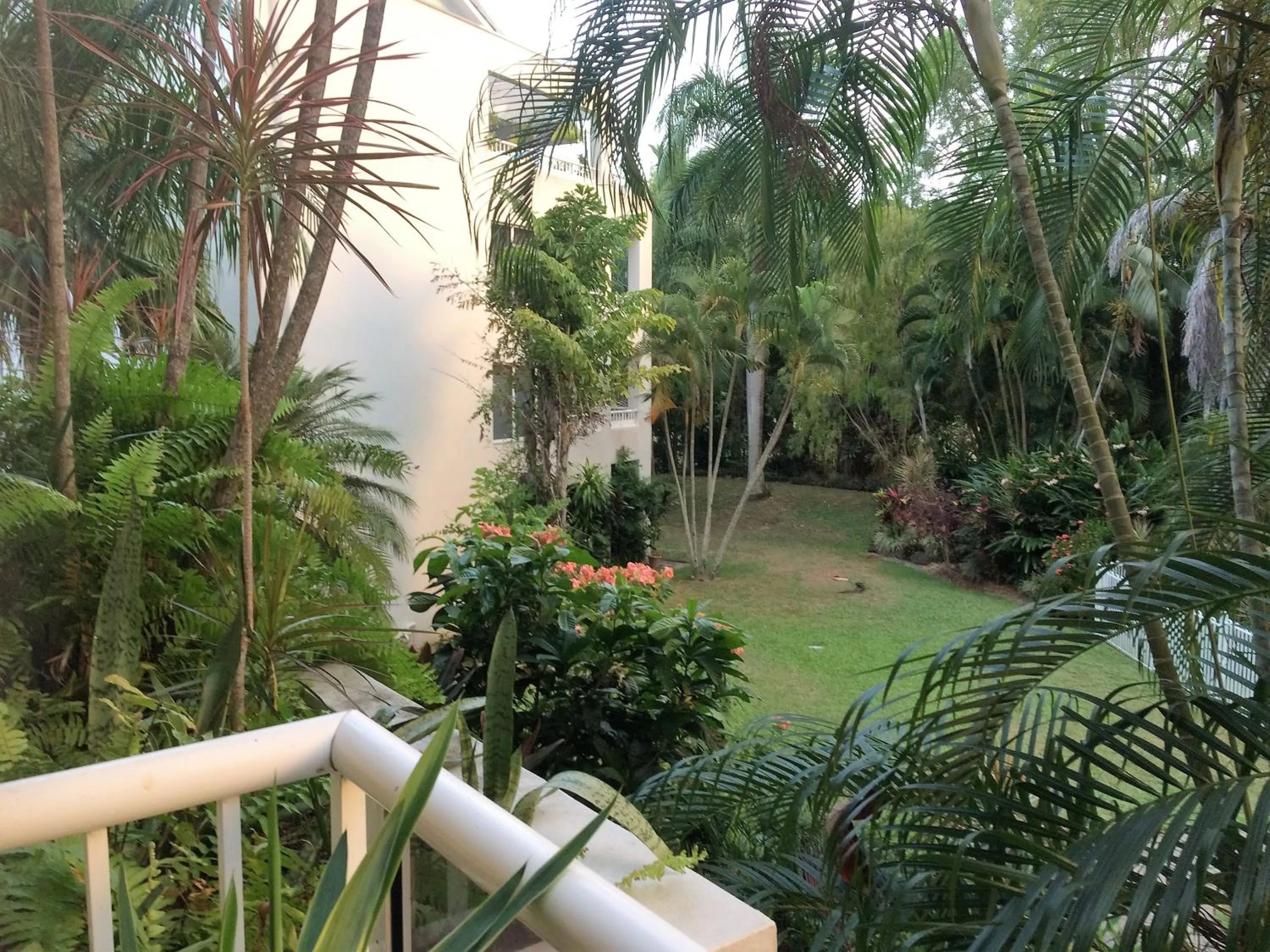 Bird's eye view in Paradise in the Tropics