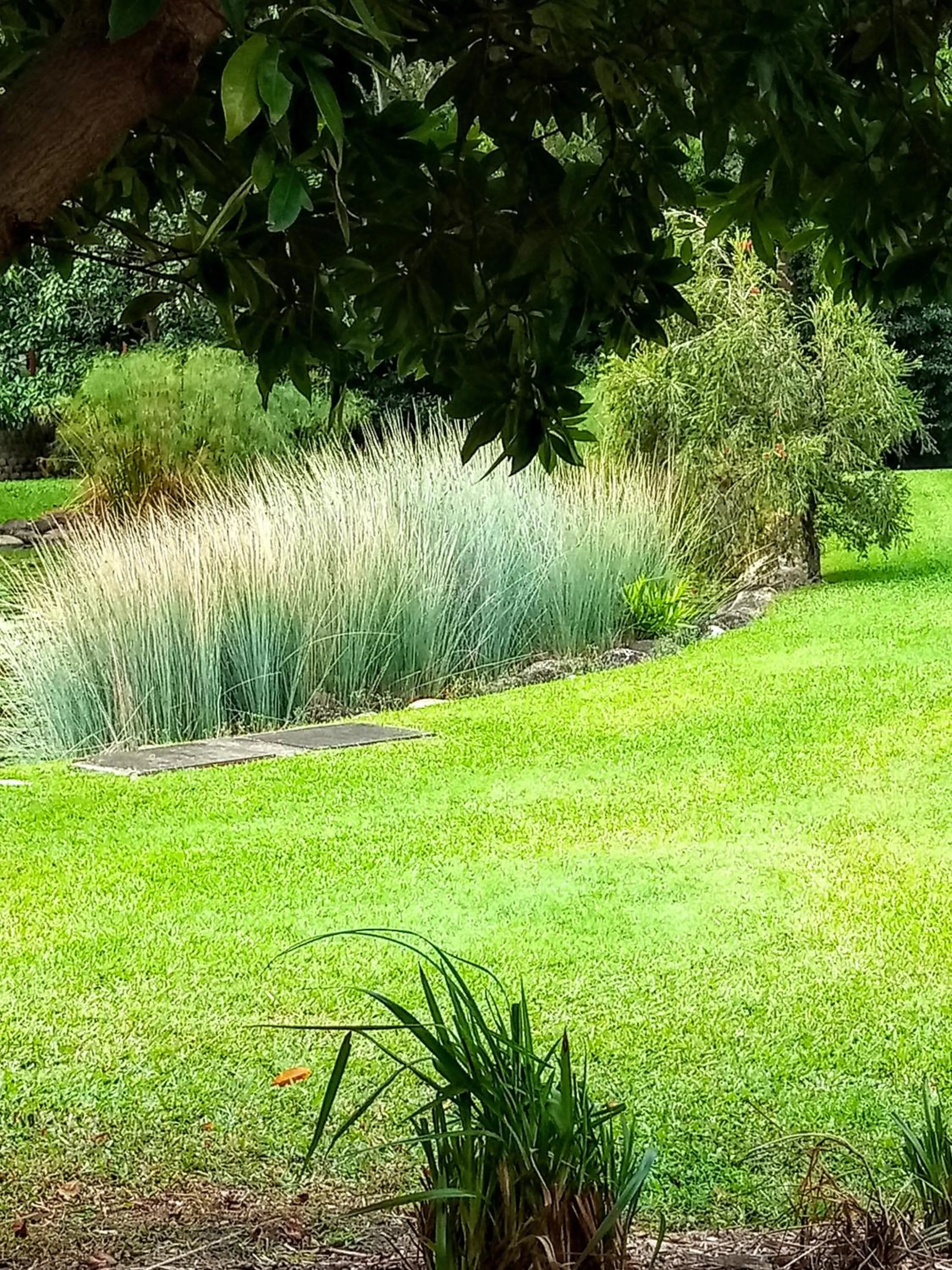 Garden in Paradise in the Tropics