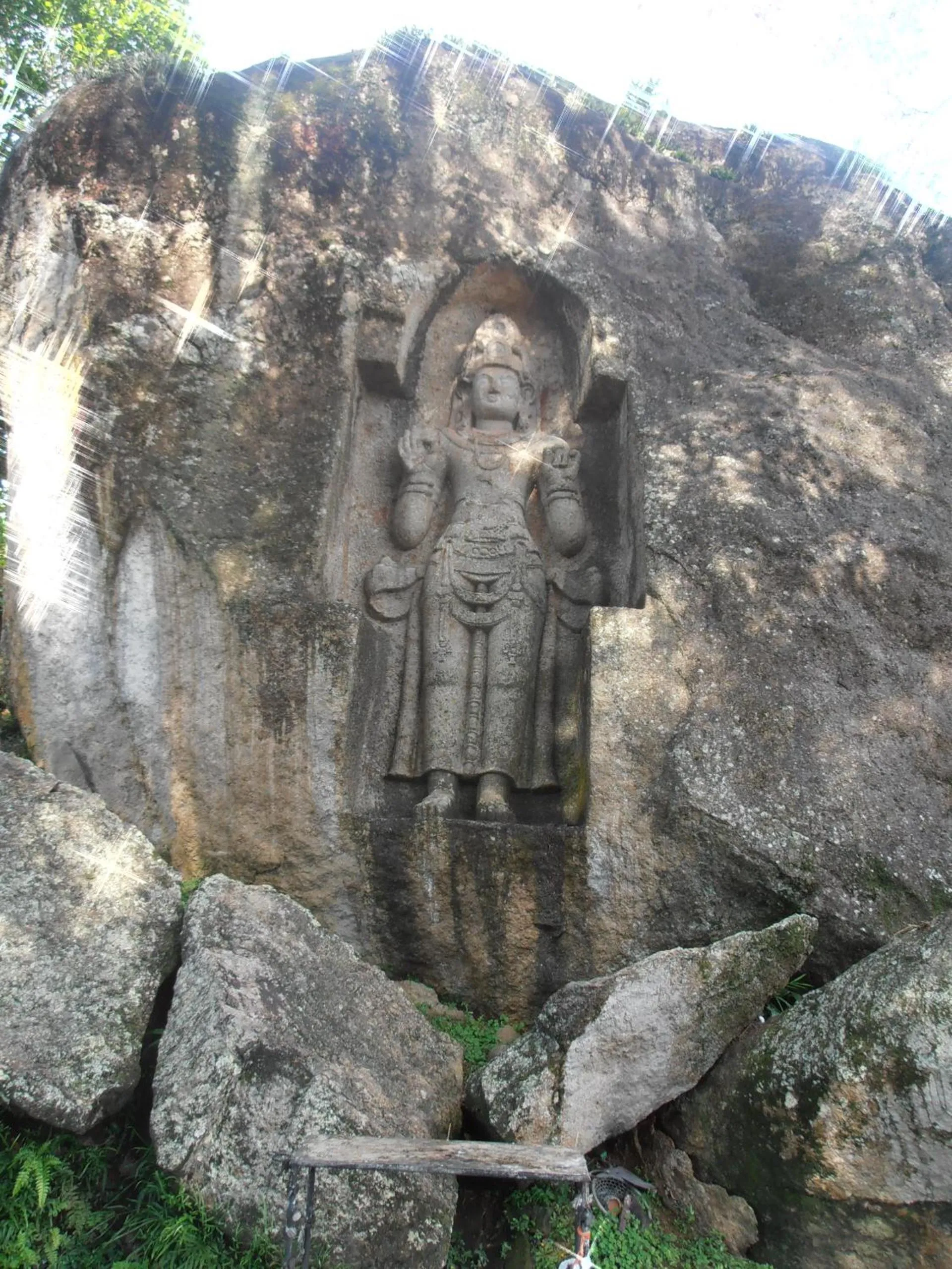 Area and facilities in Villa Agrico and Surf Guest