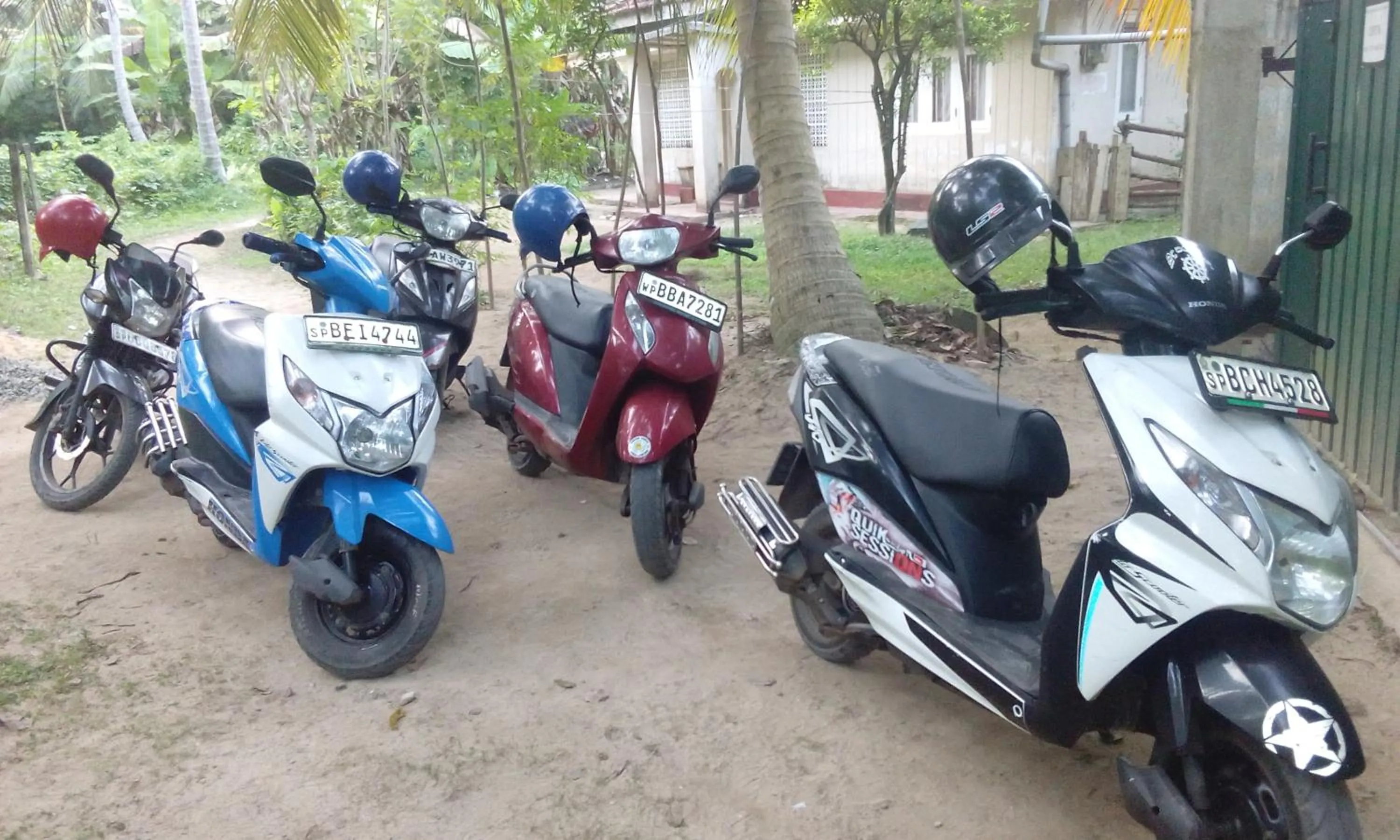 Villa Agrico and Surf Guest