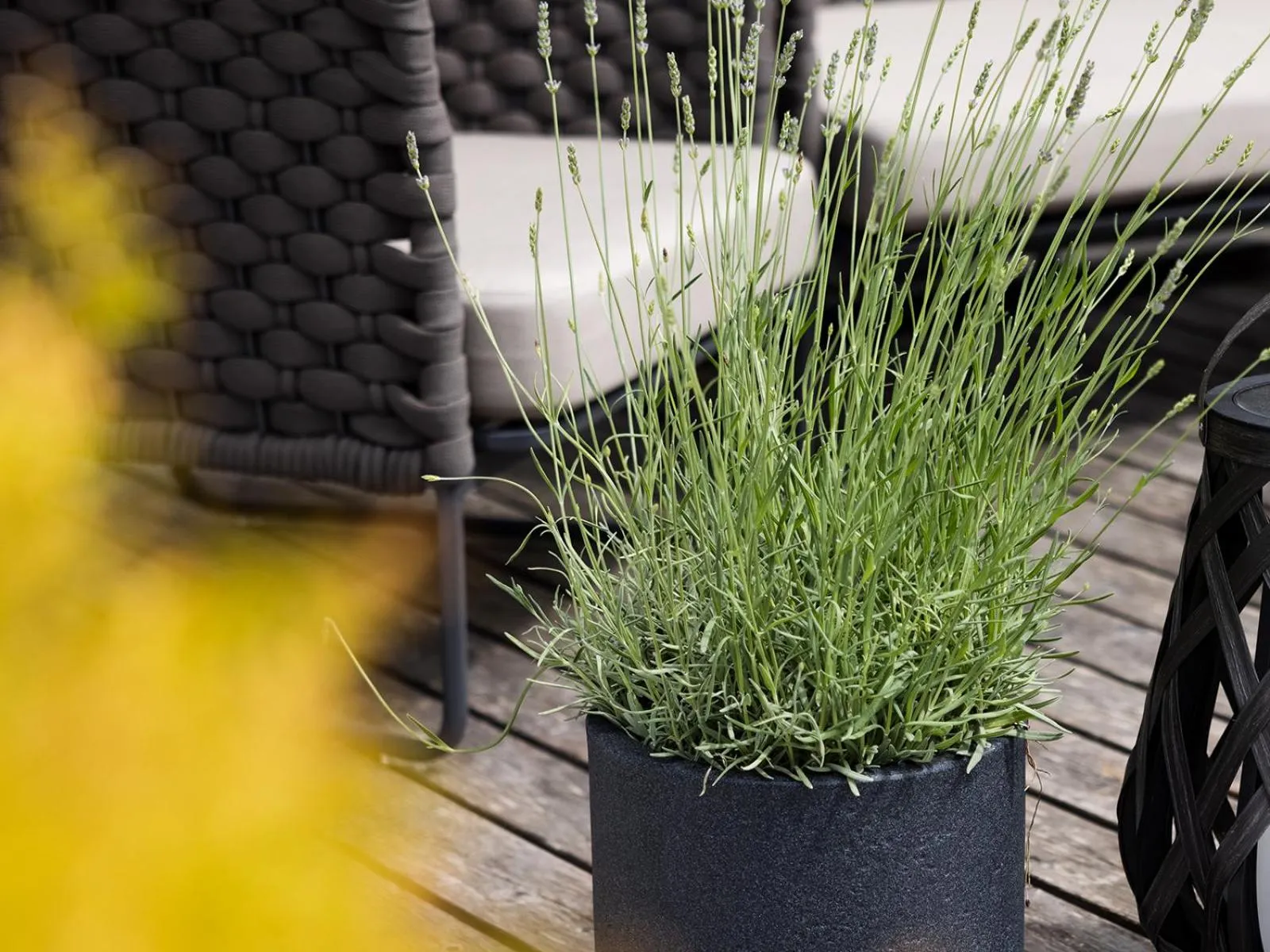 Decorative detail in Hotel Auszeit