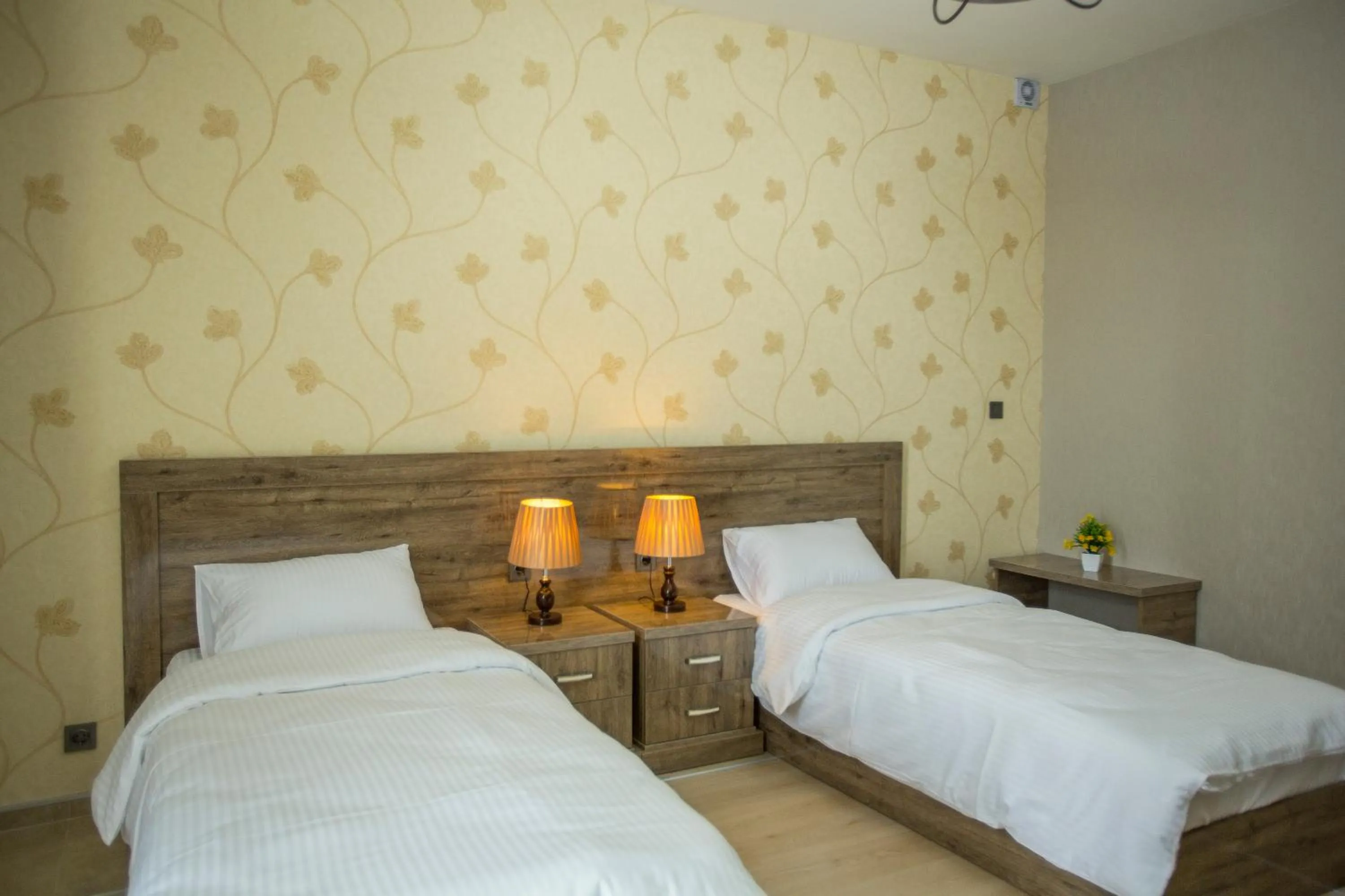 Photo of the whole room, Bed in Ire Palace