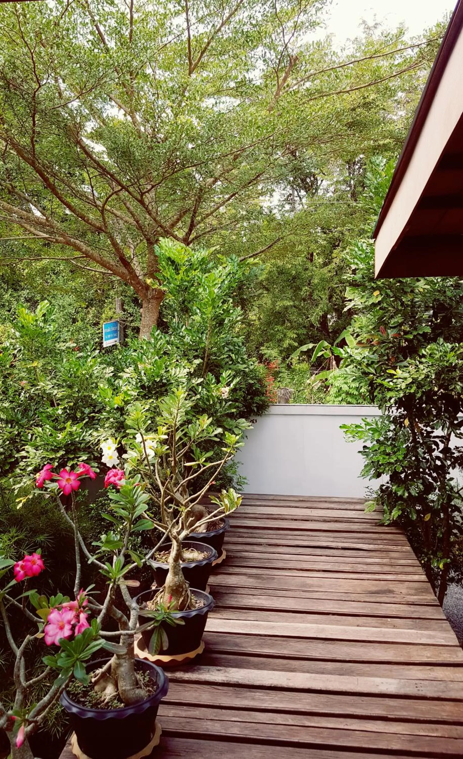 Facade/entrance in Sanfhan Resort-SHA Plus