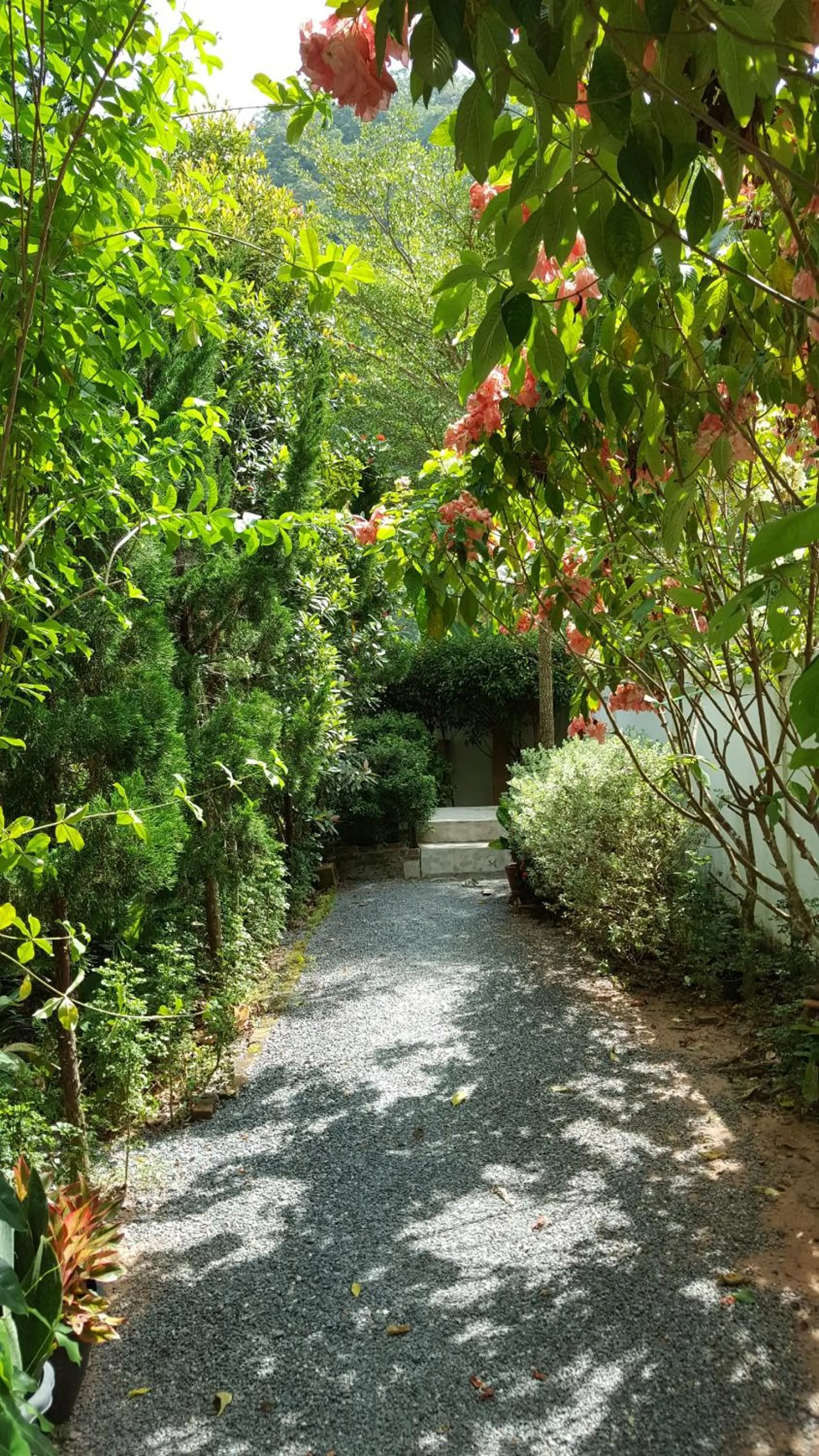 Sanfhan Resort-SHA Plus