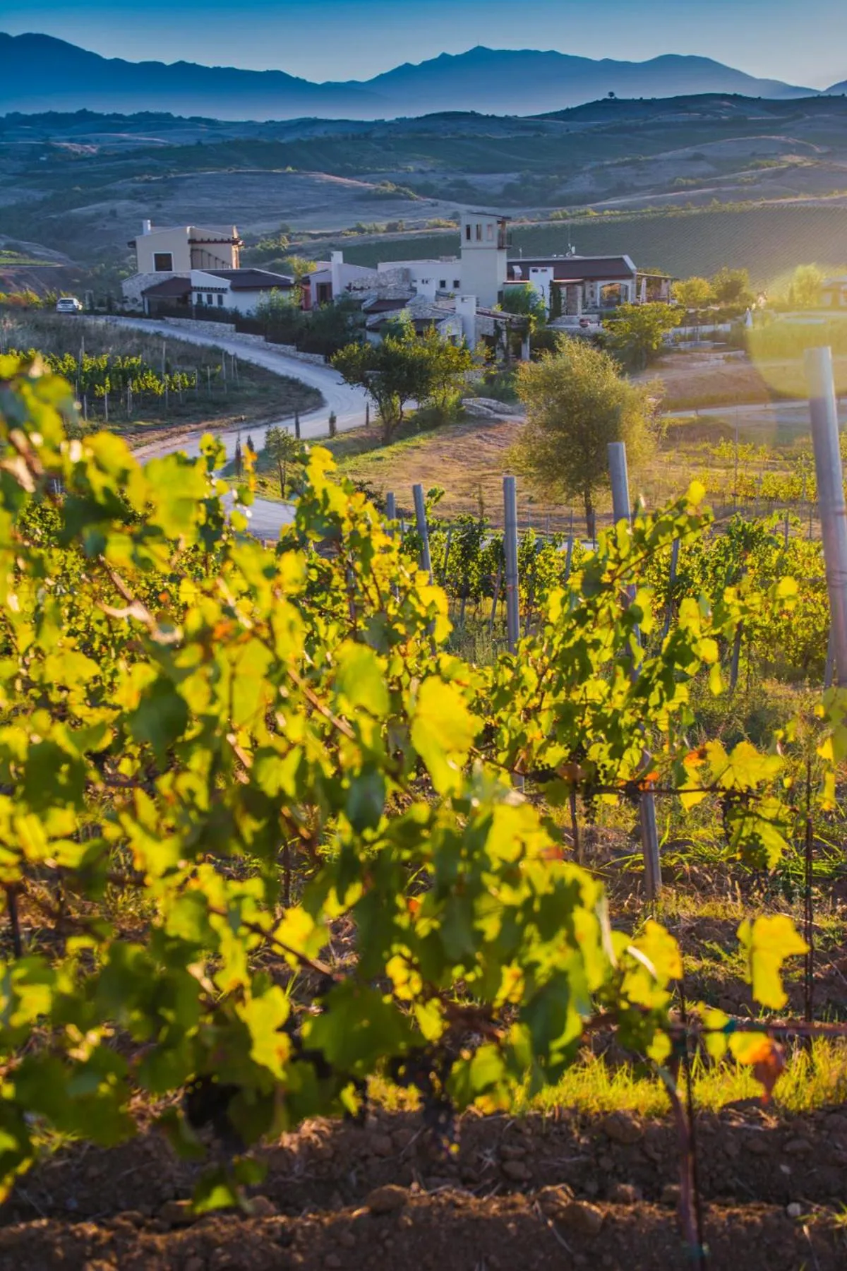 Natural landscape in Zornitza Family Estate Relais & Chateaux