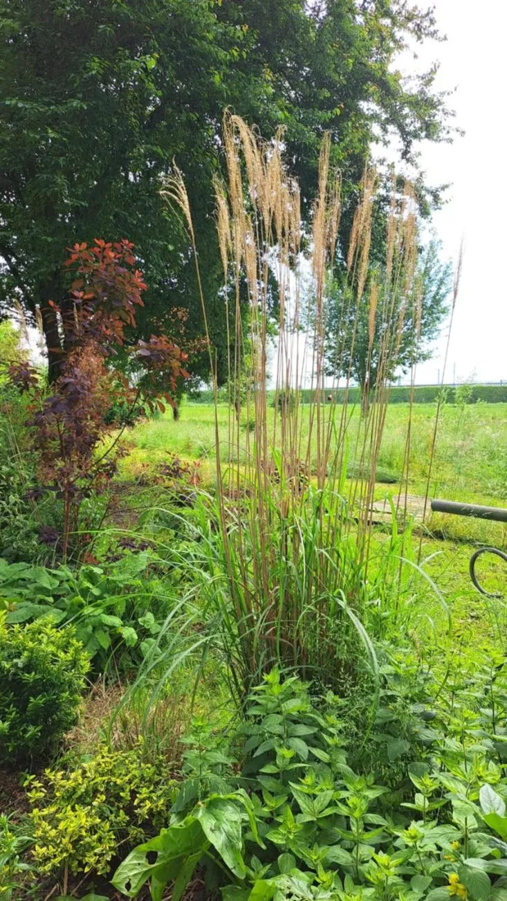 View (from property/room) in De Gaanderij bed and Breakfast