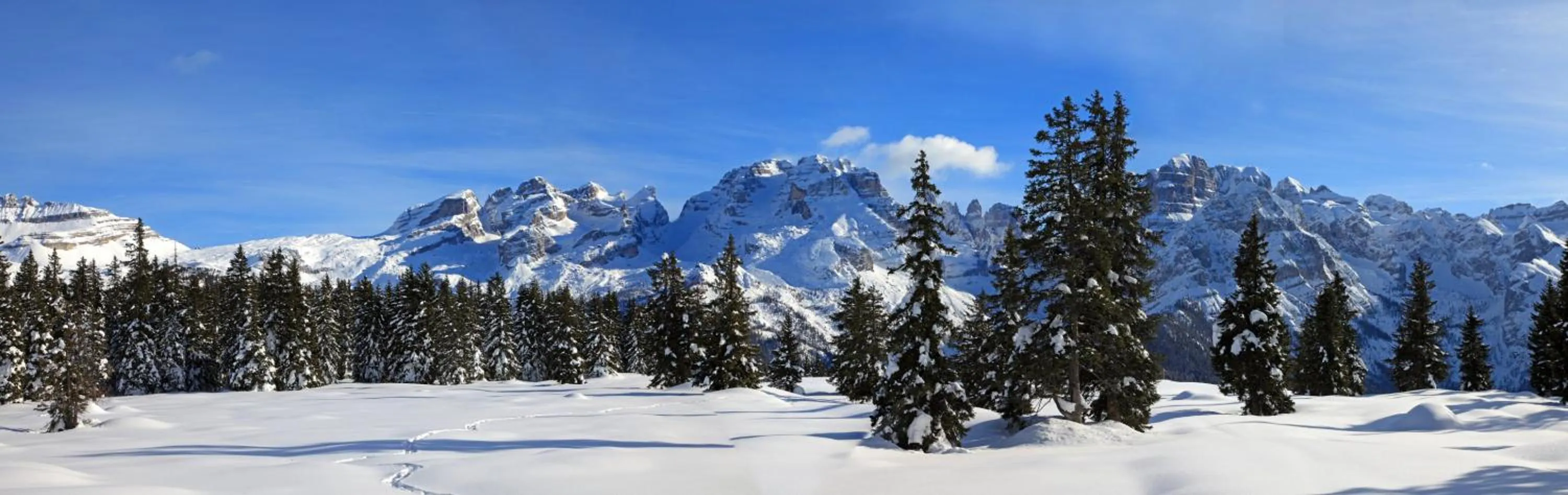 Property building in Albergo Garnì Maso Mistrin