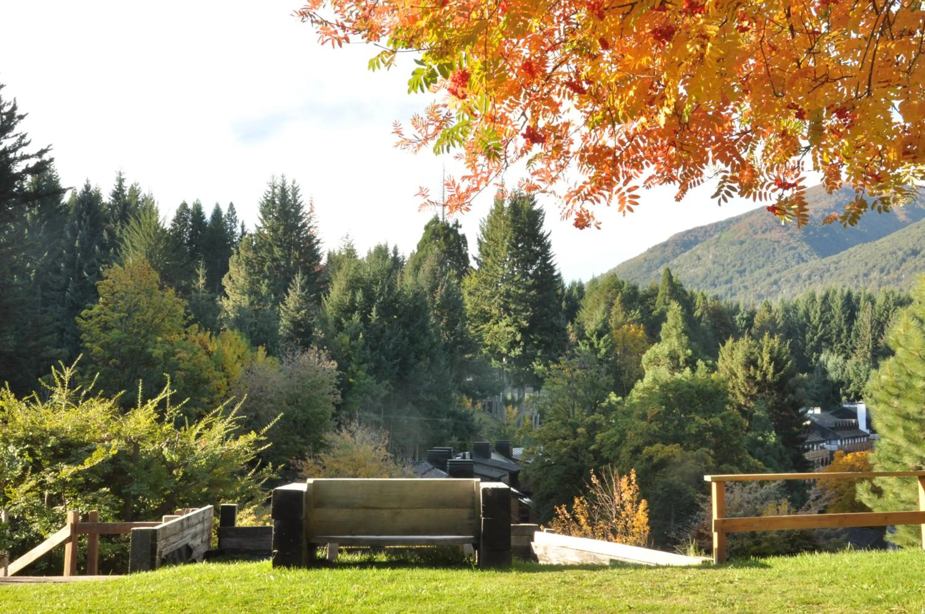 Garden in Hostería Verde Morada