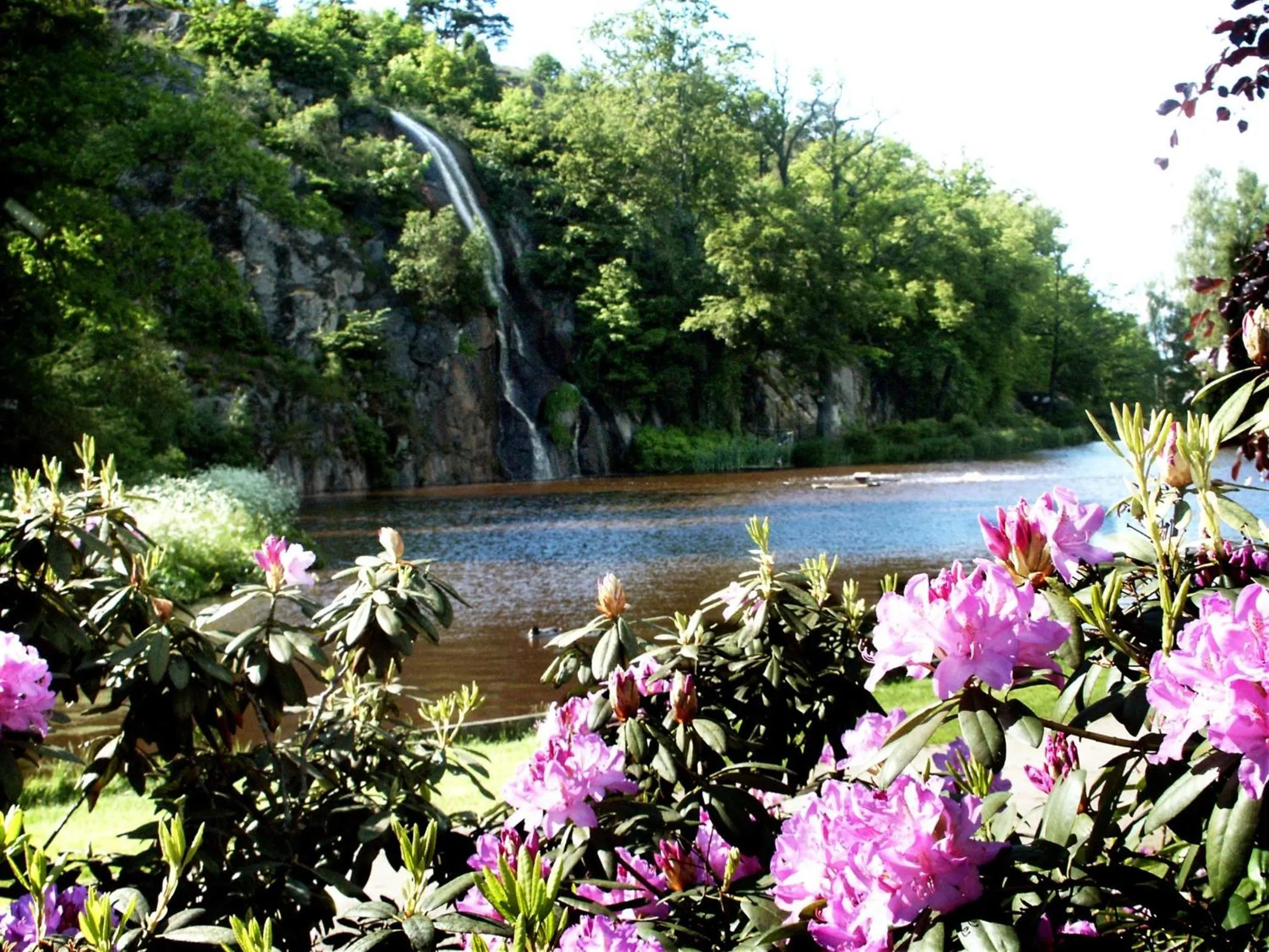 Area and facilities in Ronneby Brunn