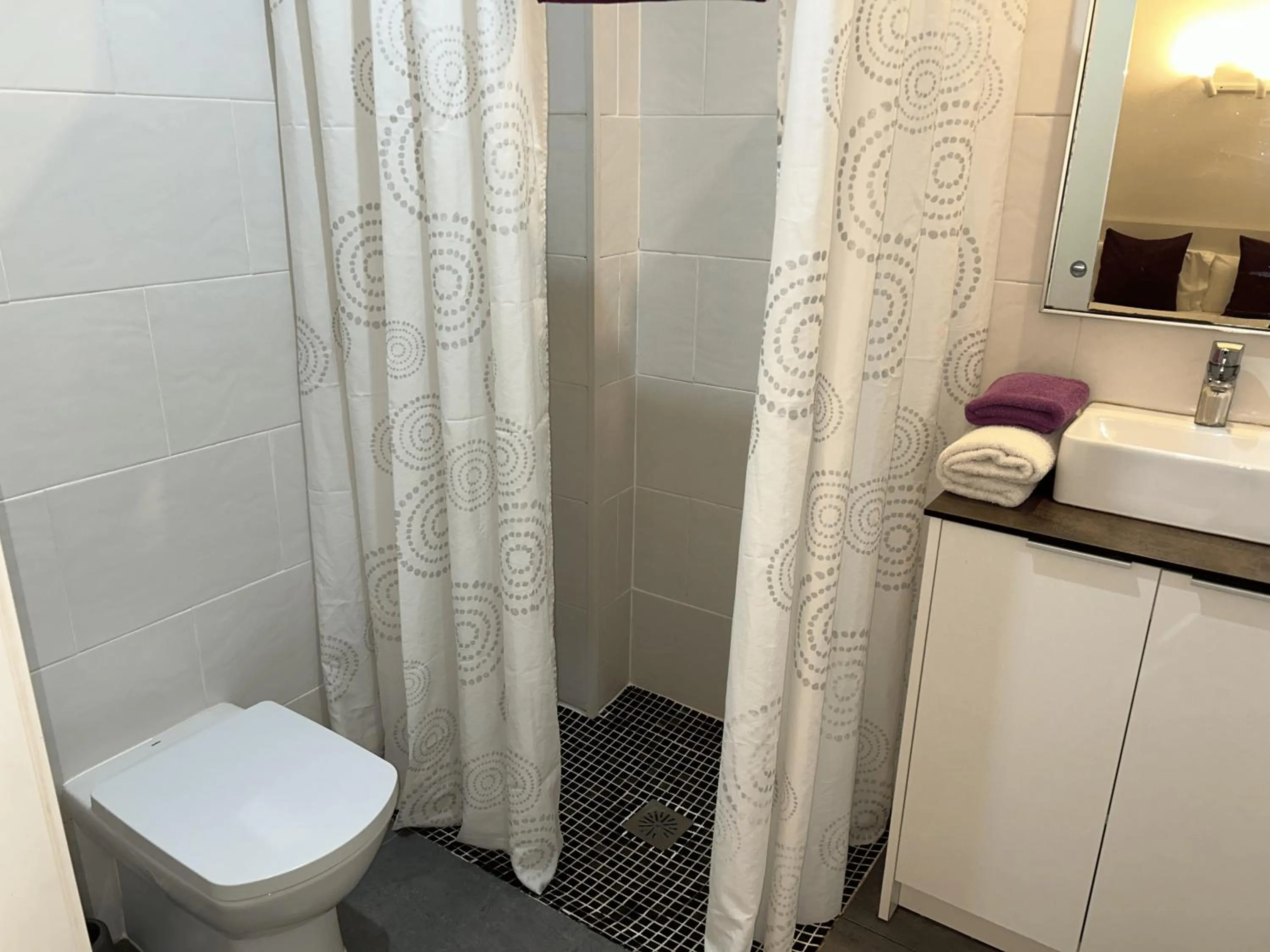 Shower in Apartahotel Baldiri