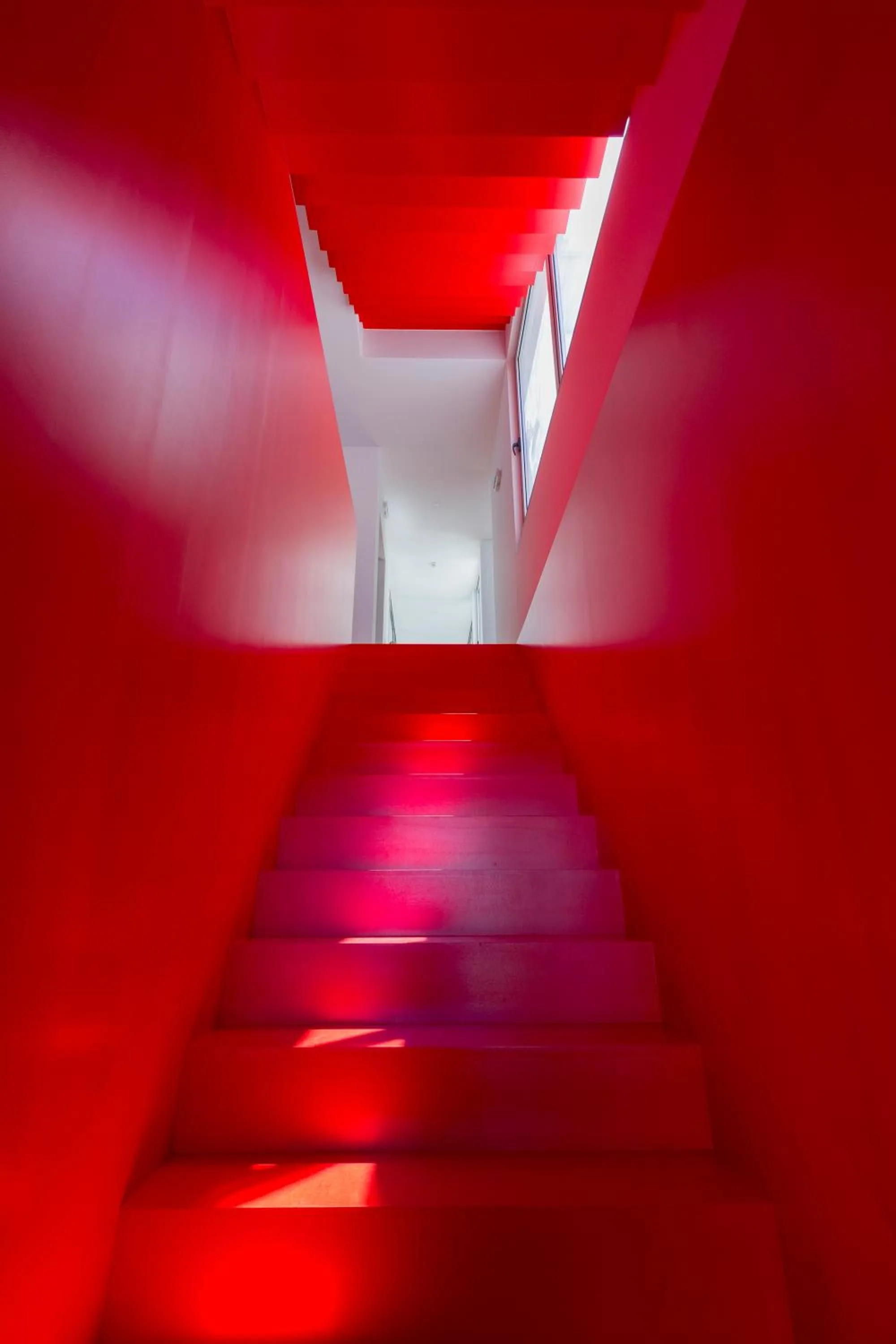 Area and facilities in Lofts Azul Pastel