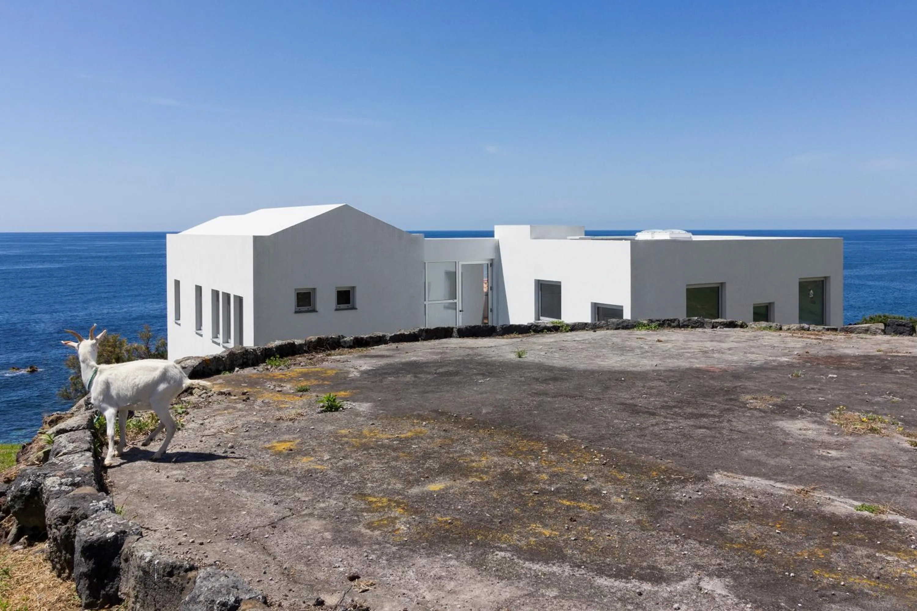 Patio in Lofts Azul Pastel