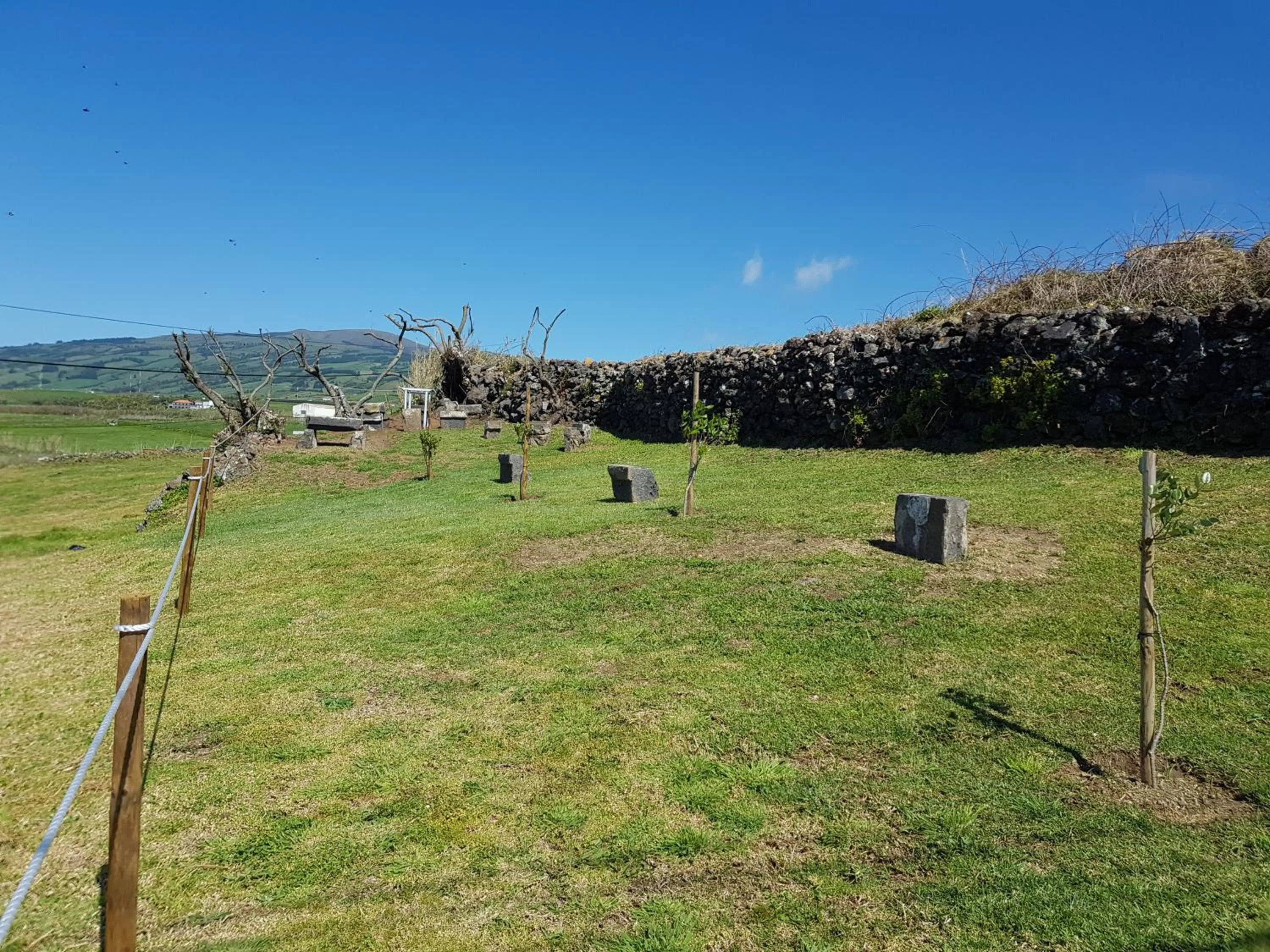 Natural landscape in Lofts Azul Pastel