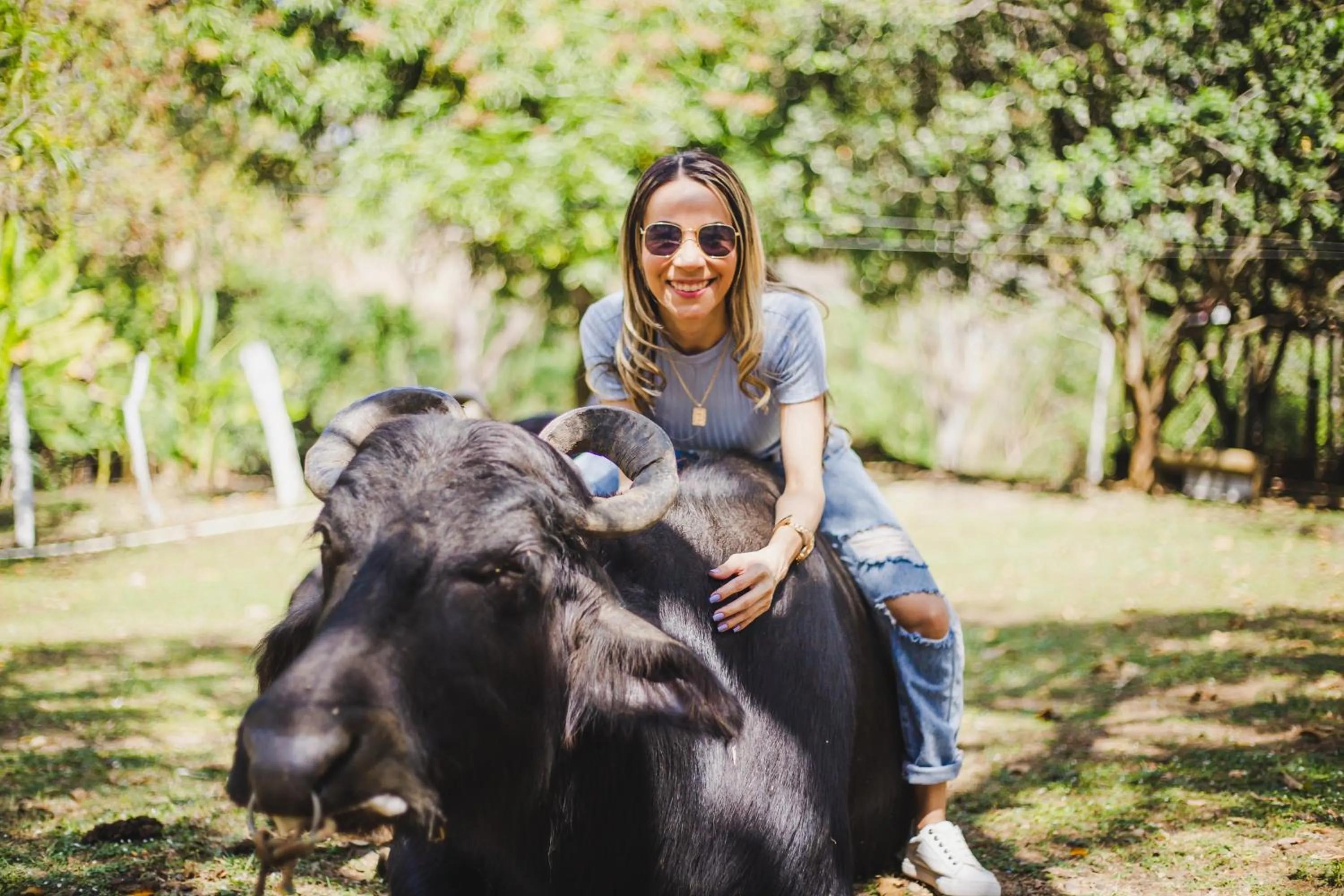 Animals in Eco Hotel Villa Martha