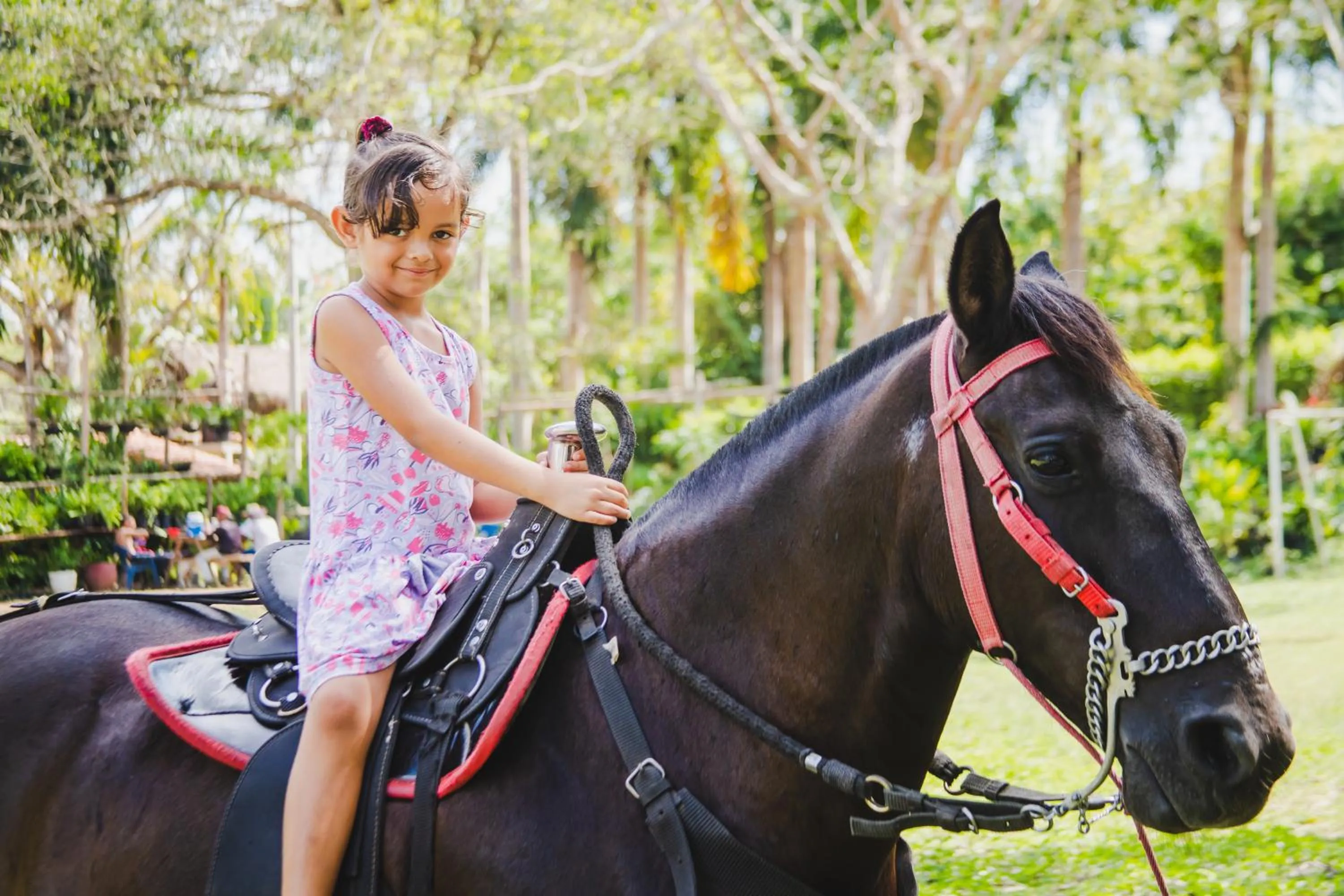 Animals in Eco Hotel Villa Martha