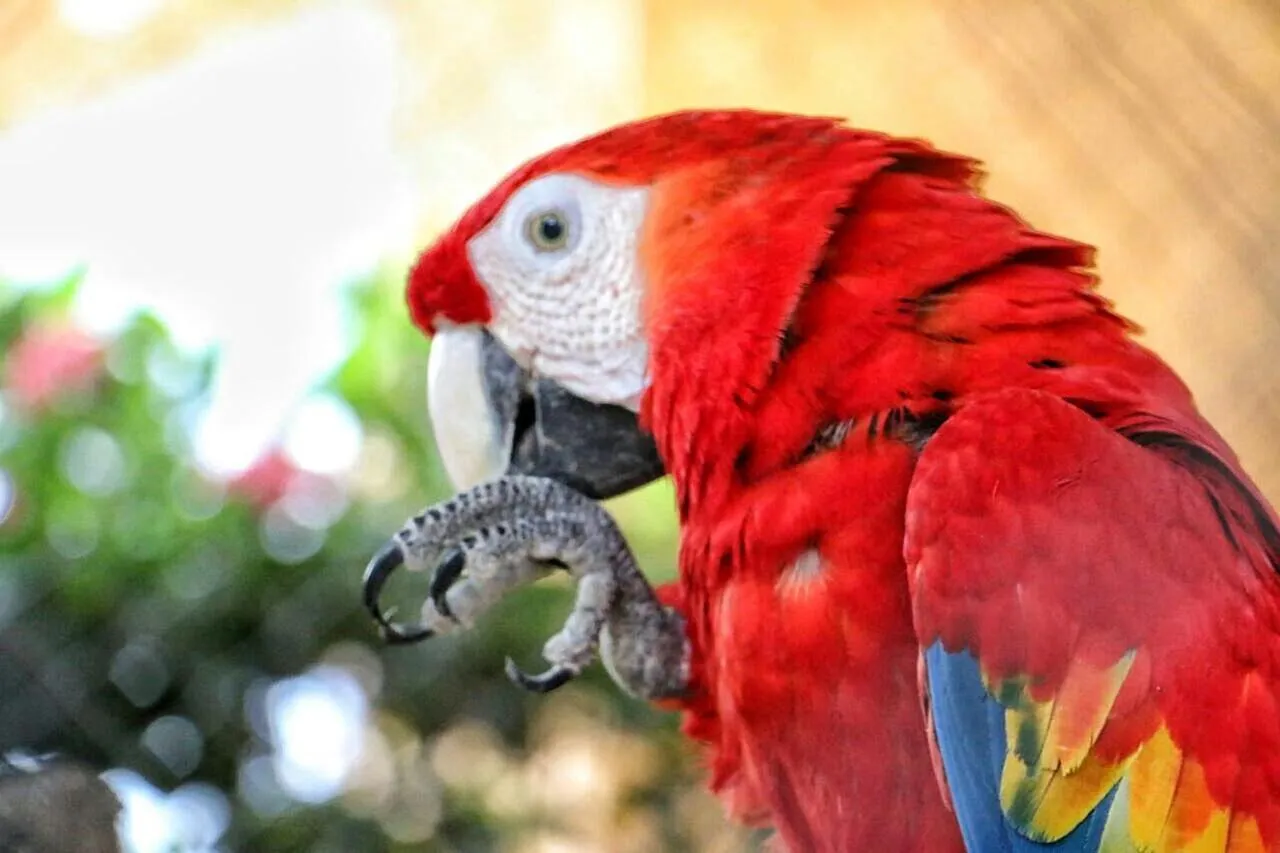 Natural landscape in Eco Hotel Villa Martha