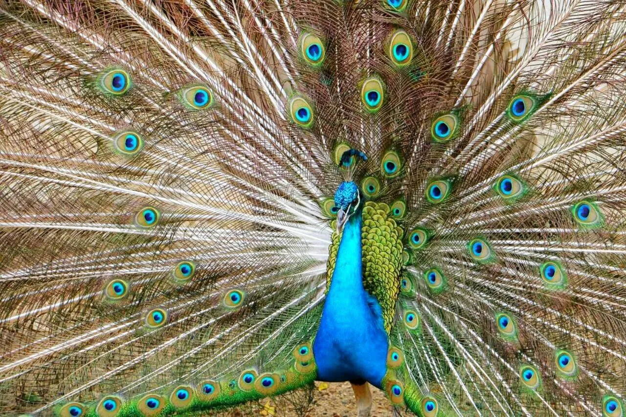 Natural landscape in Eco Hotel Villa Martha