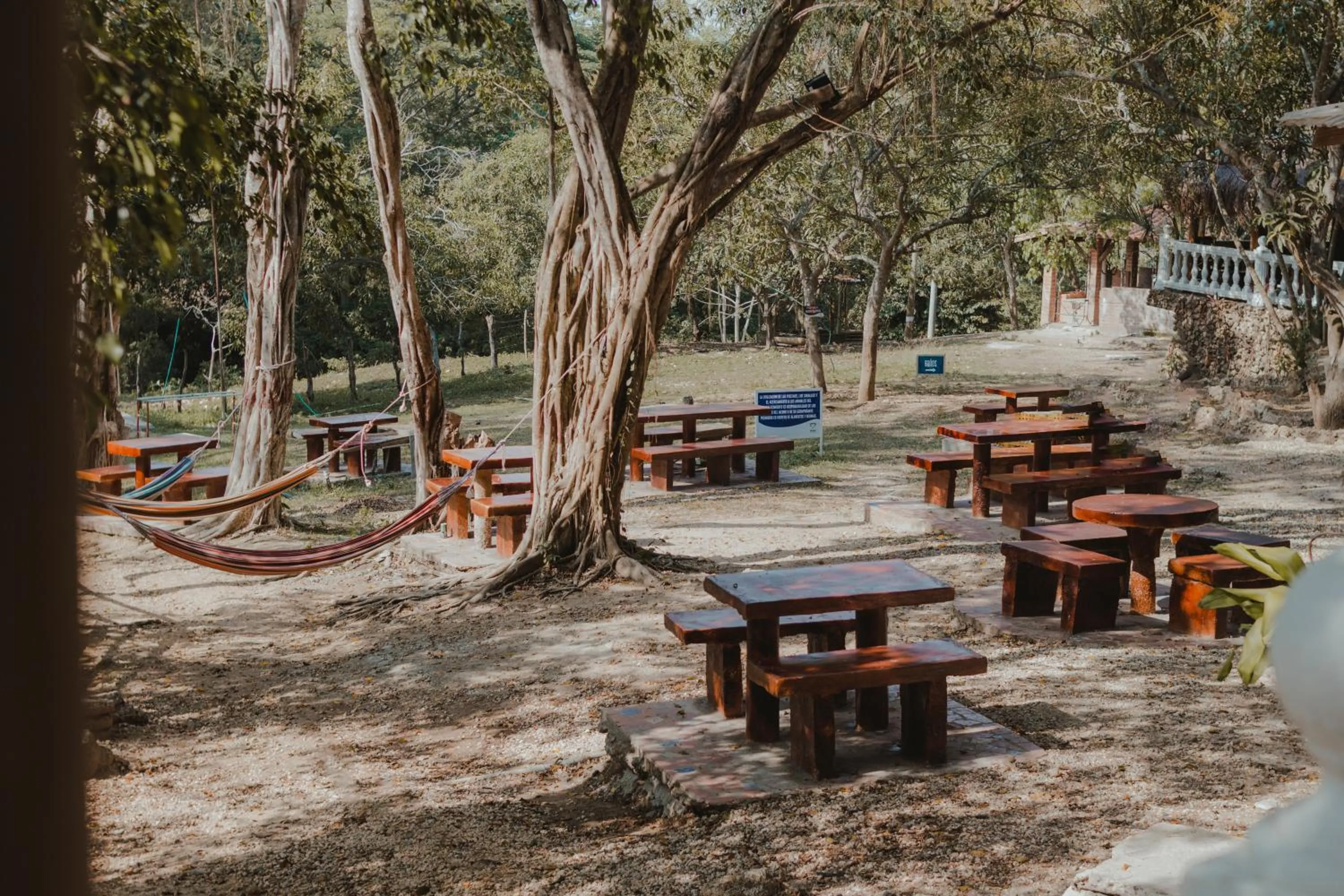 Restaurant/places to eat in Eco Hotel Villa Martha