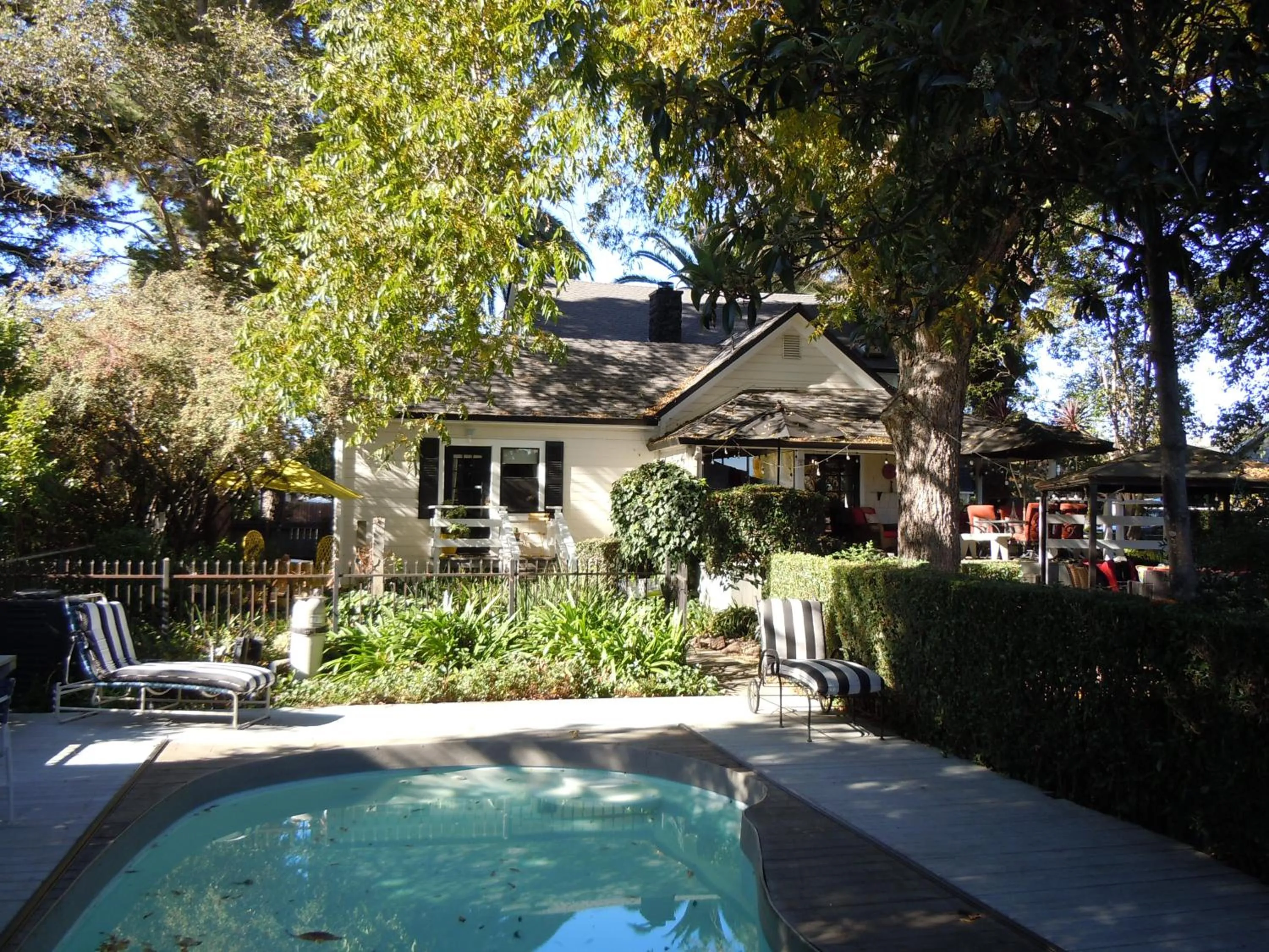 Swimming pool in The Giraffe