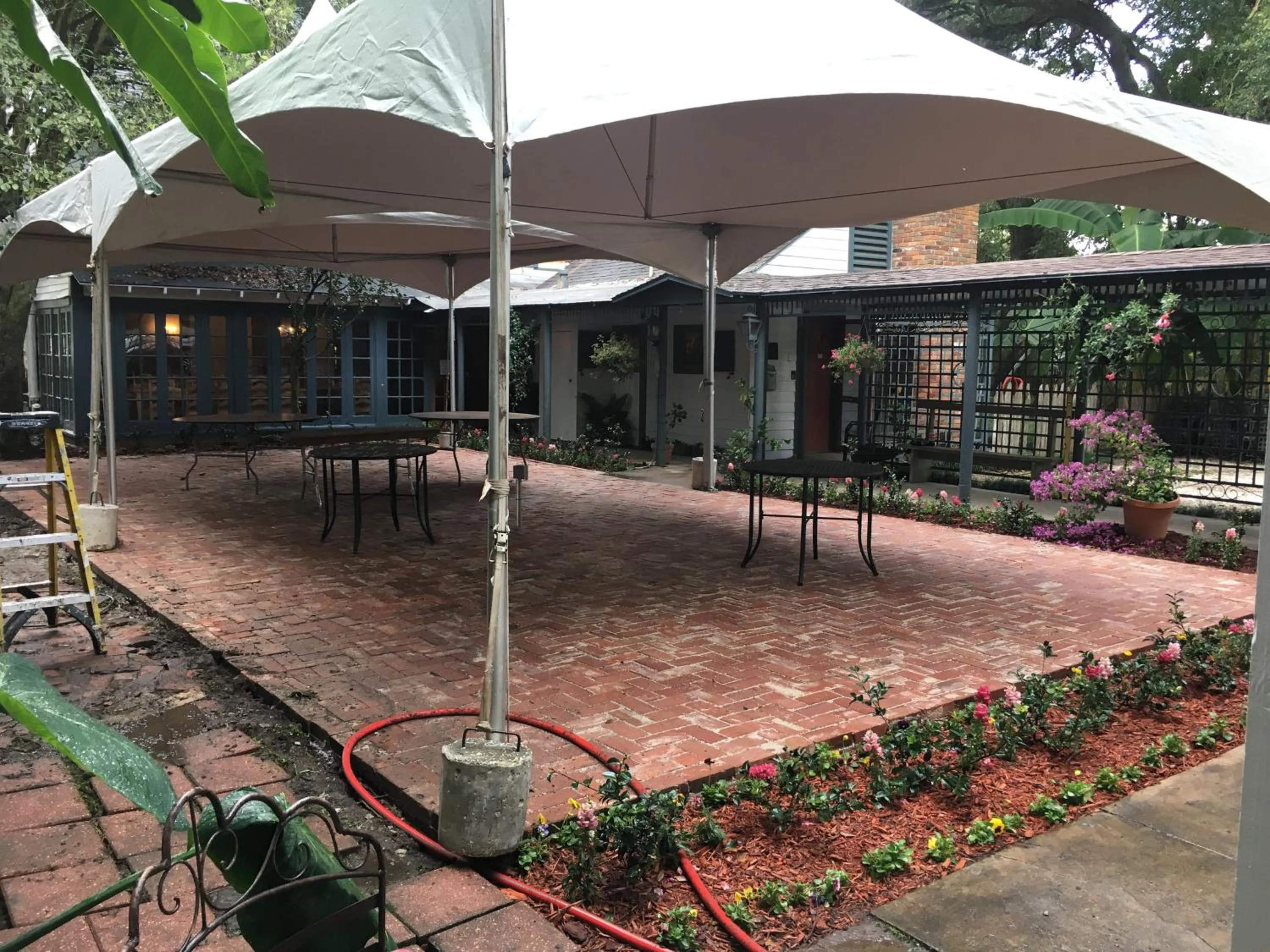 Maison Mouton Bed & Breakfast