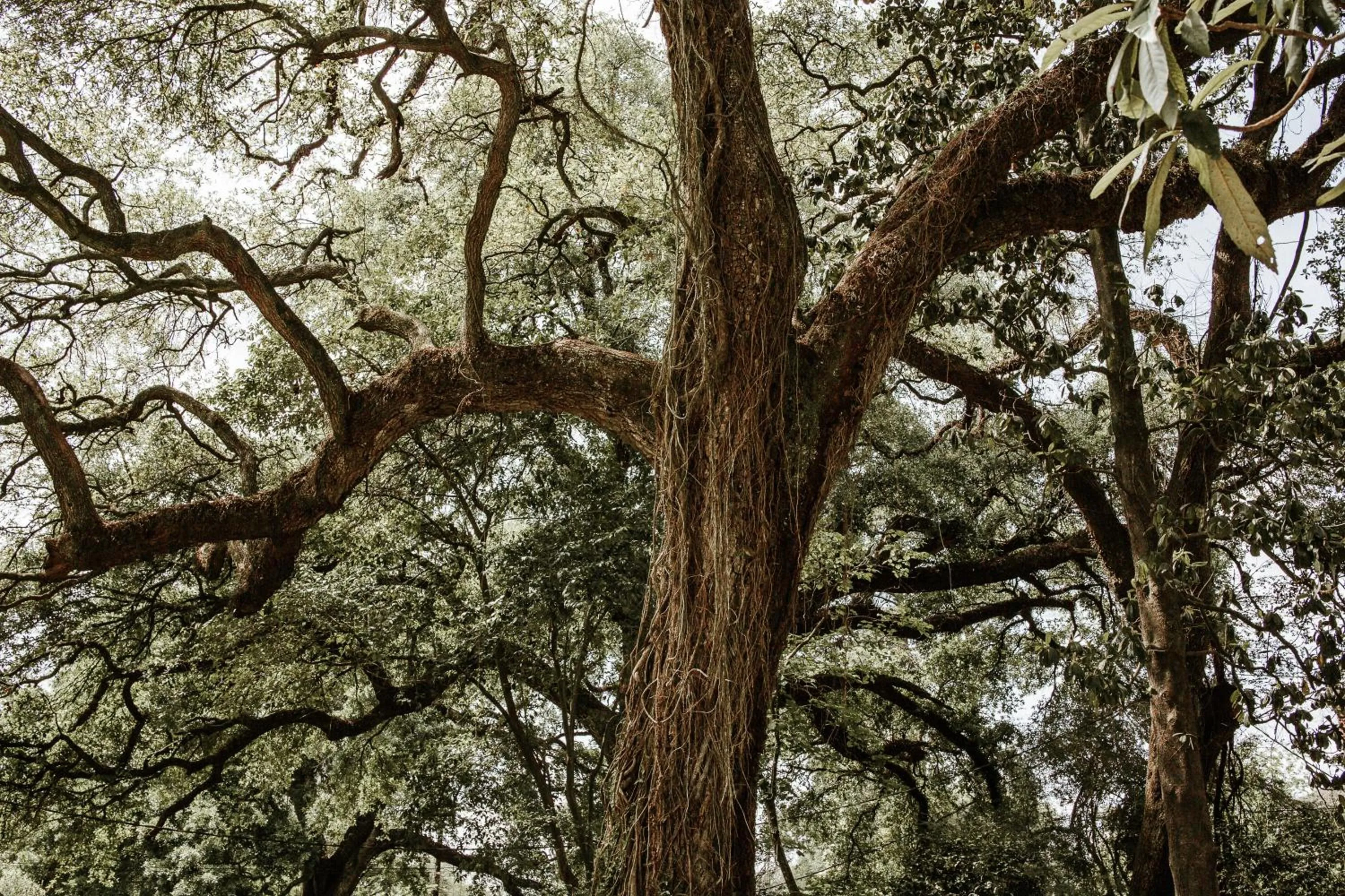 Facade/entrance in Maison Mouton Bed & Breakfast