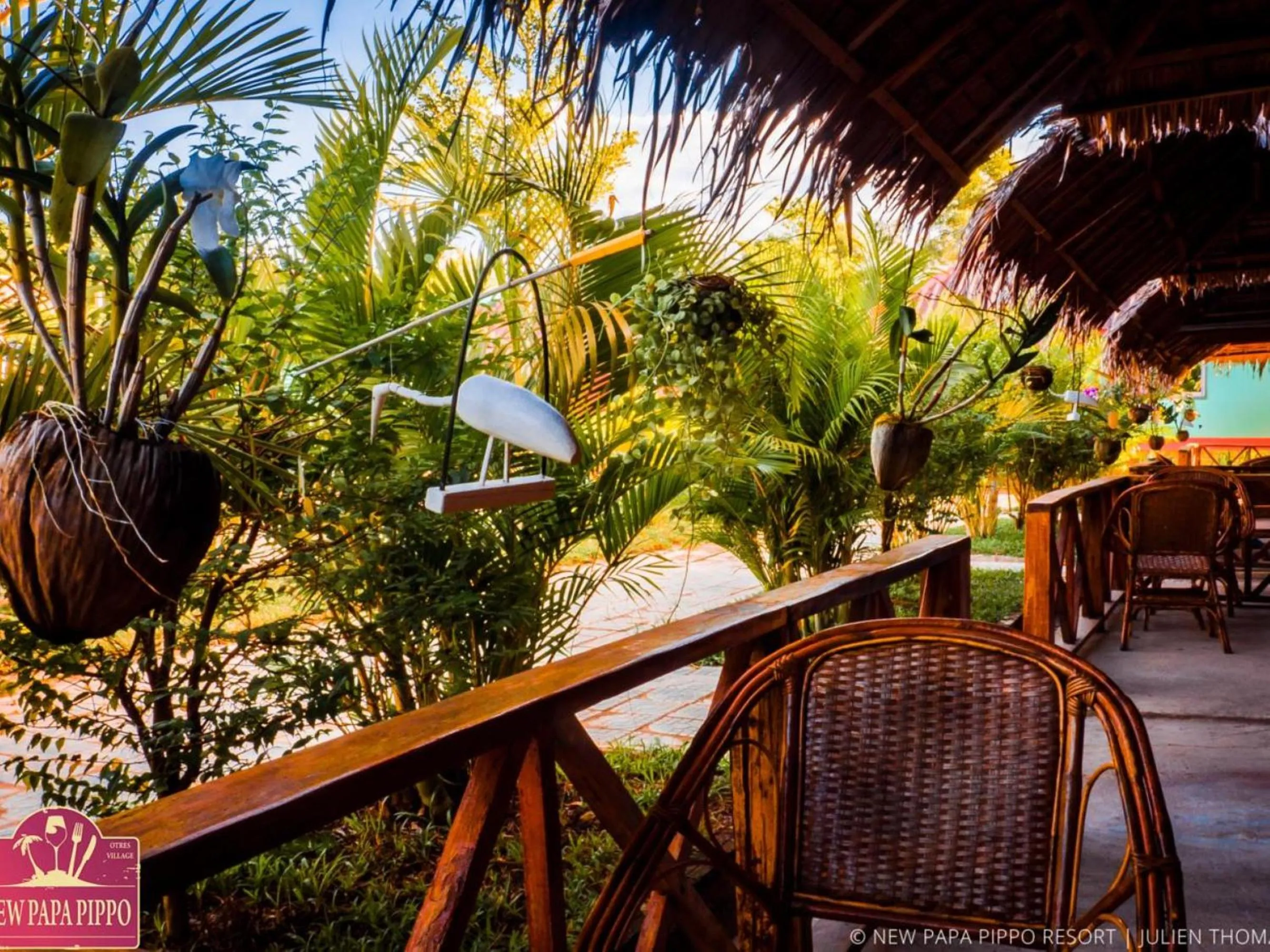 Patio in New Papa Pippo Resort