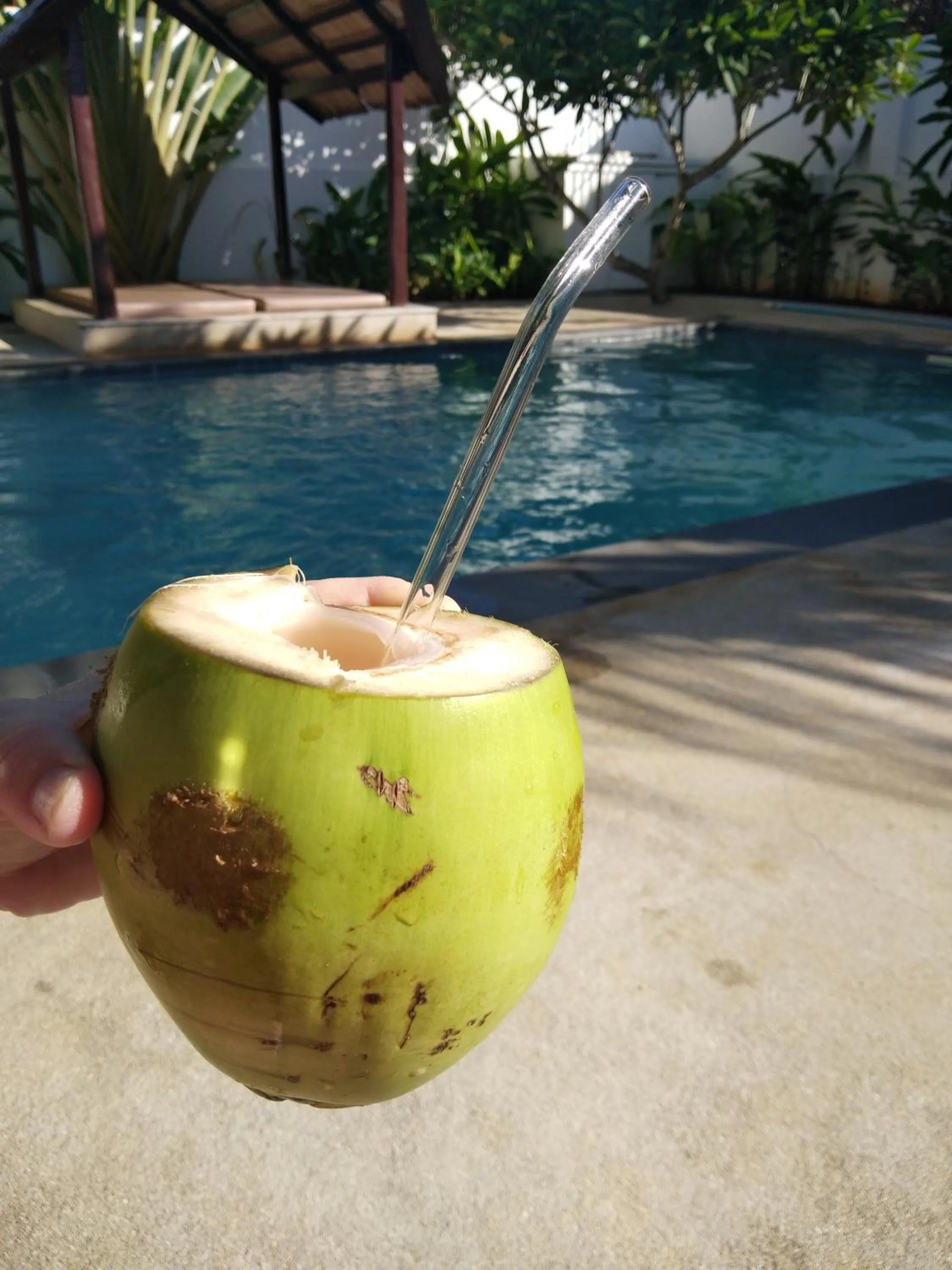 Swimming pool in Villa Kalachuchi V.K